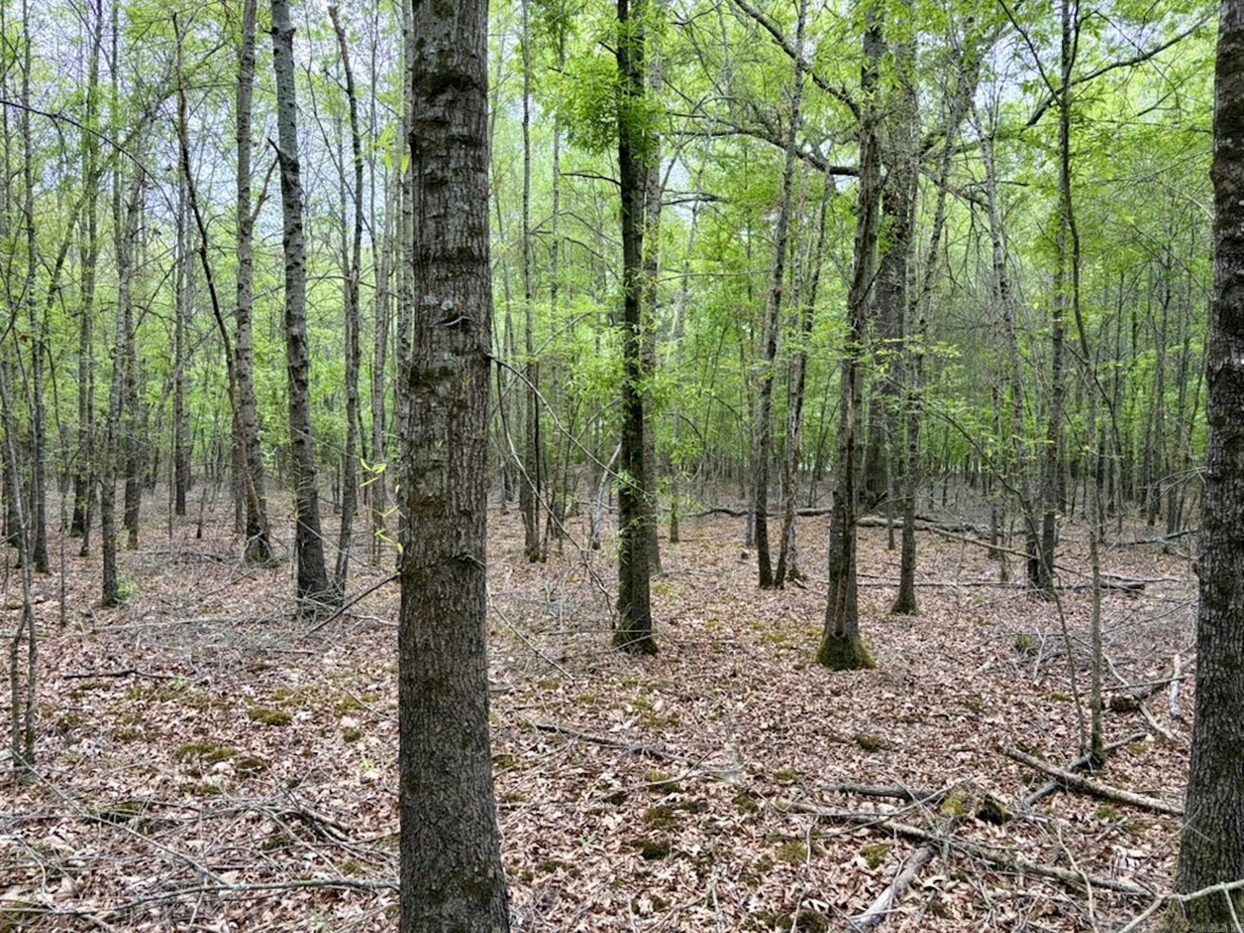 Not in Subdivision - Land