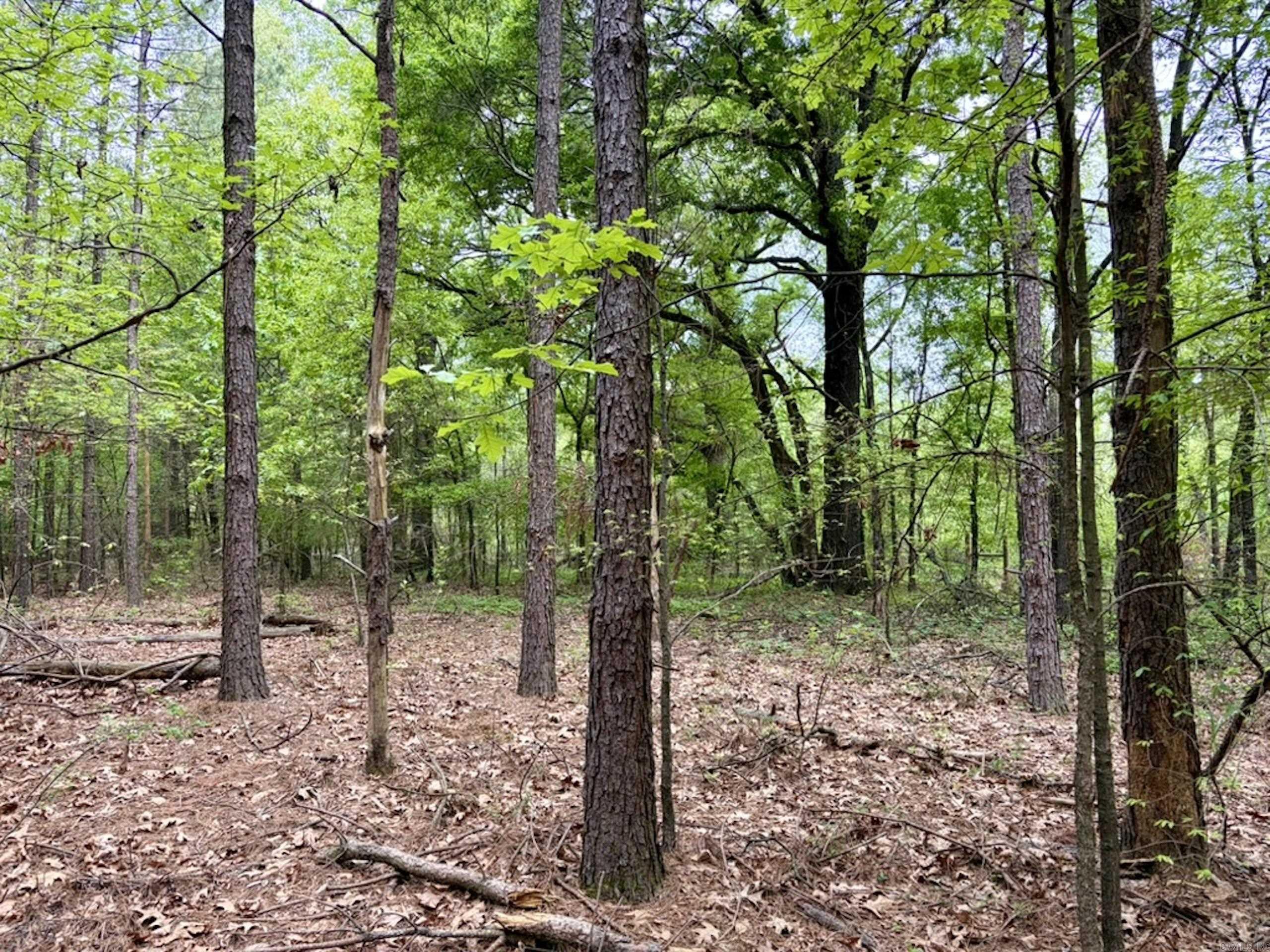 Not in Subdivision - Land