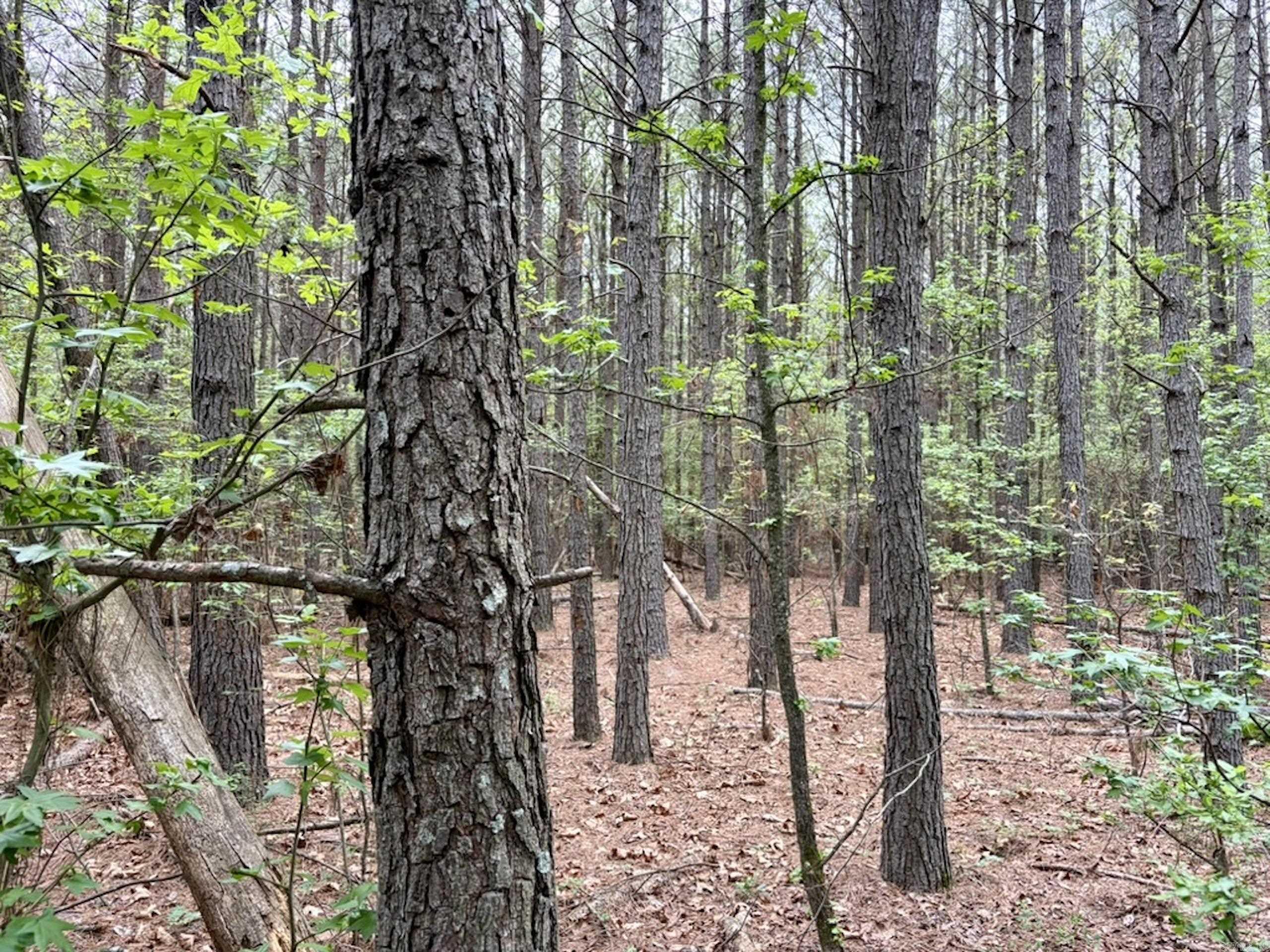 Not in Subdivision - Land