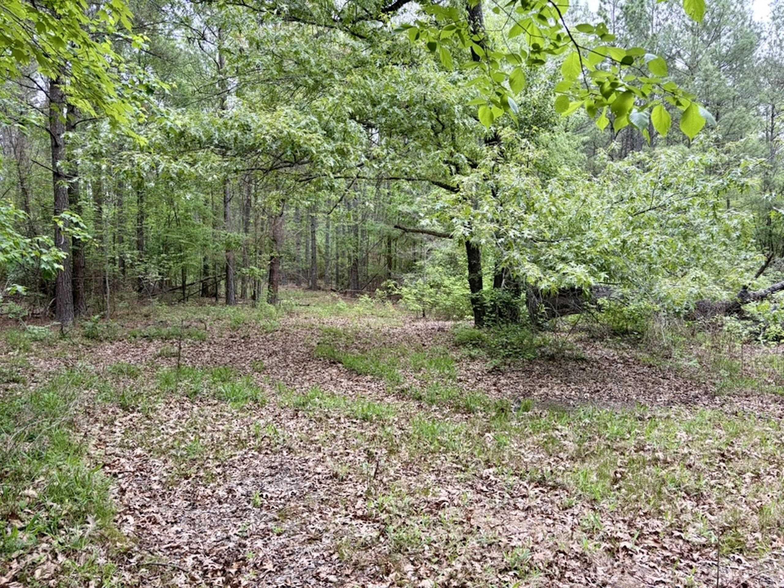 Not in Subdivision - Land