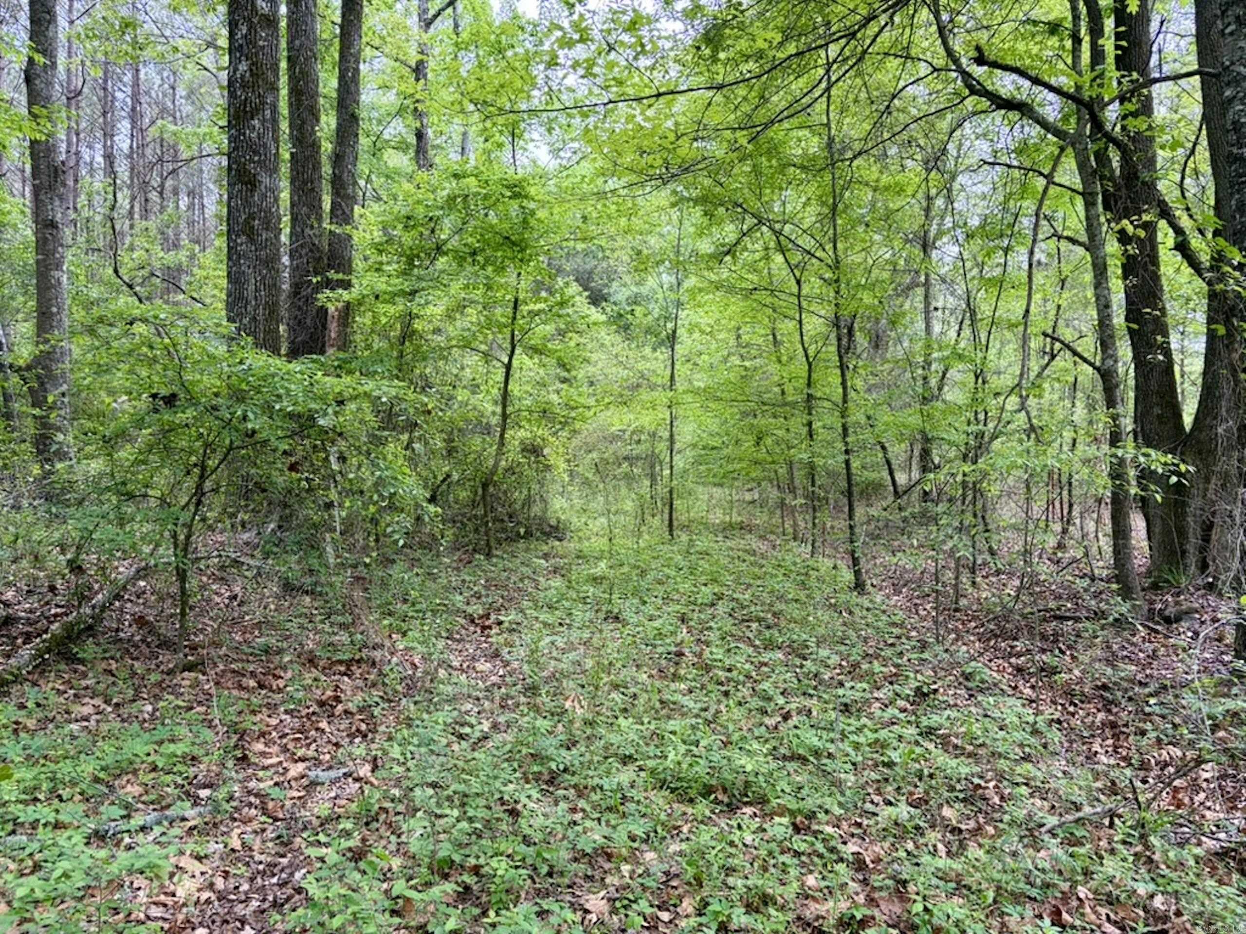 Not in Subdivision - Land