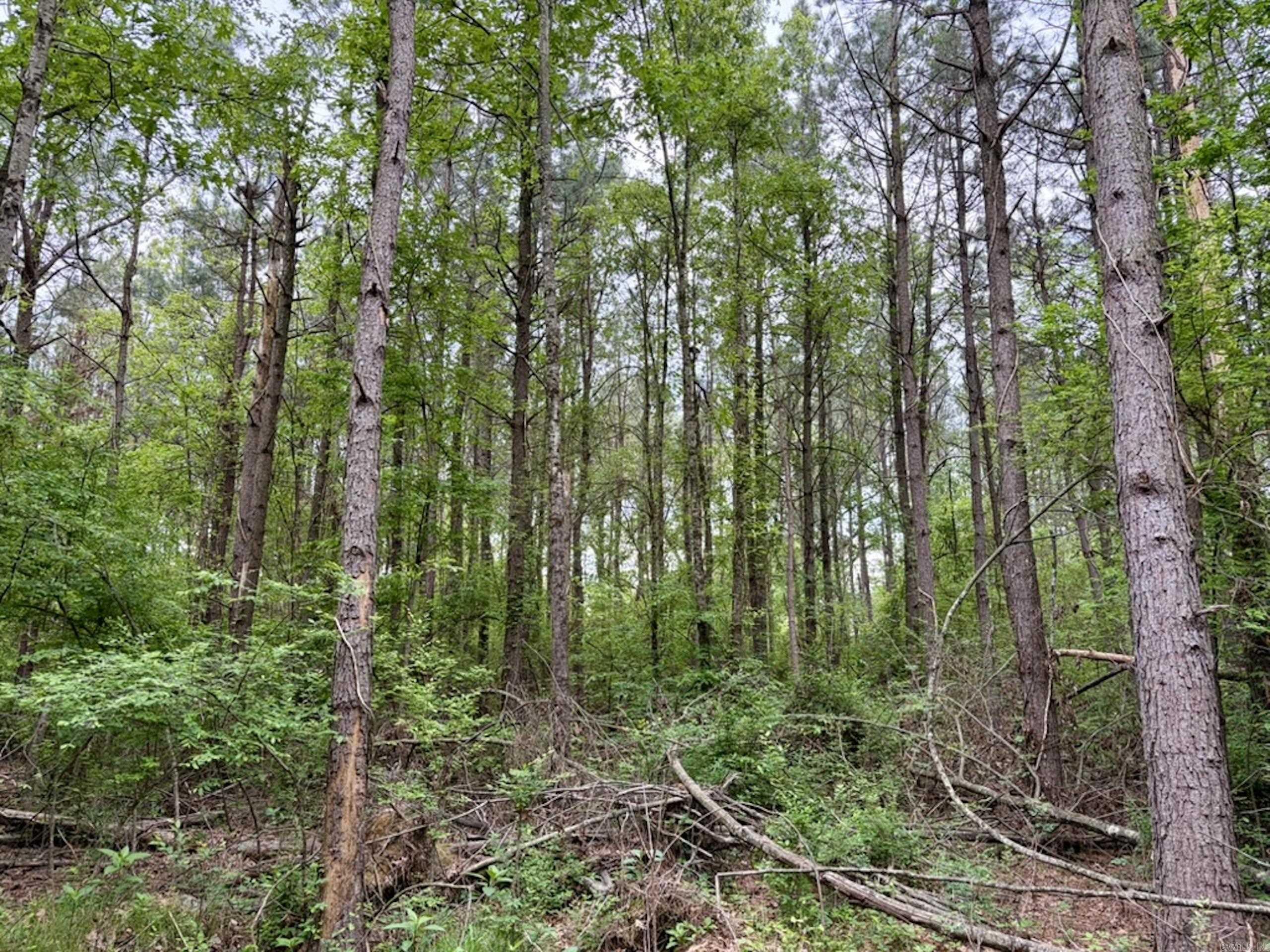 Not in Subdivision - Land