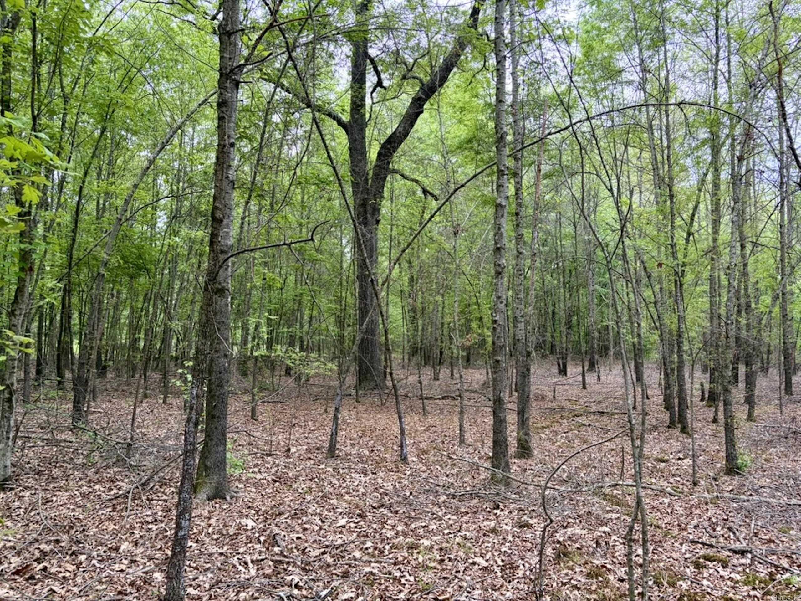 Not in Subdivision - Land