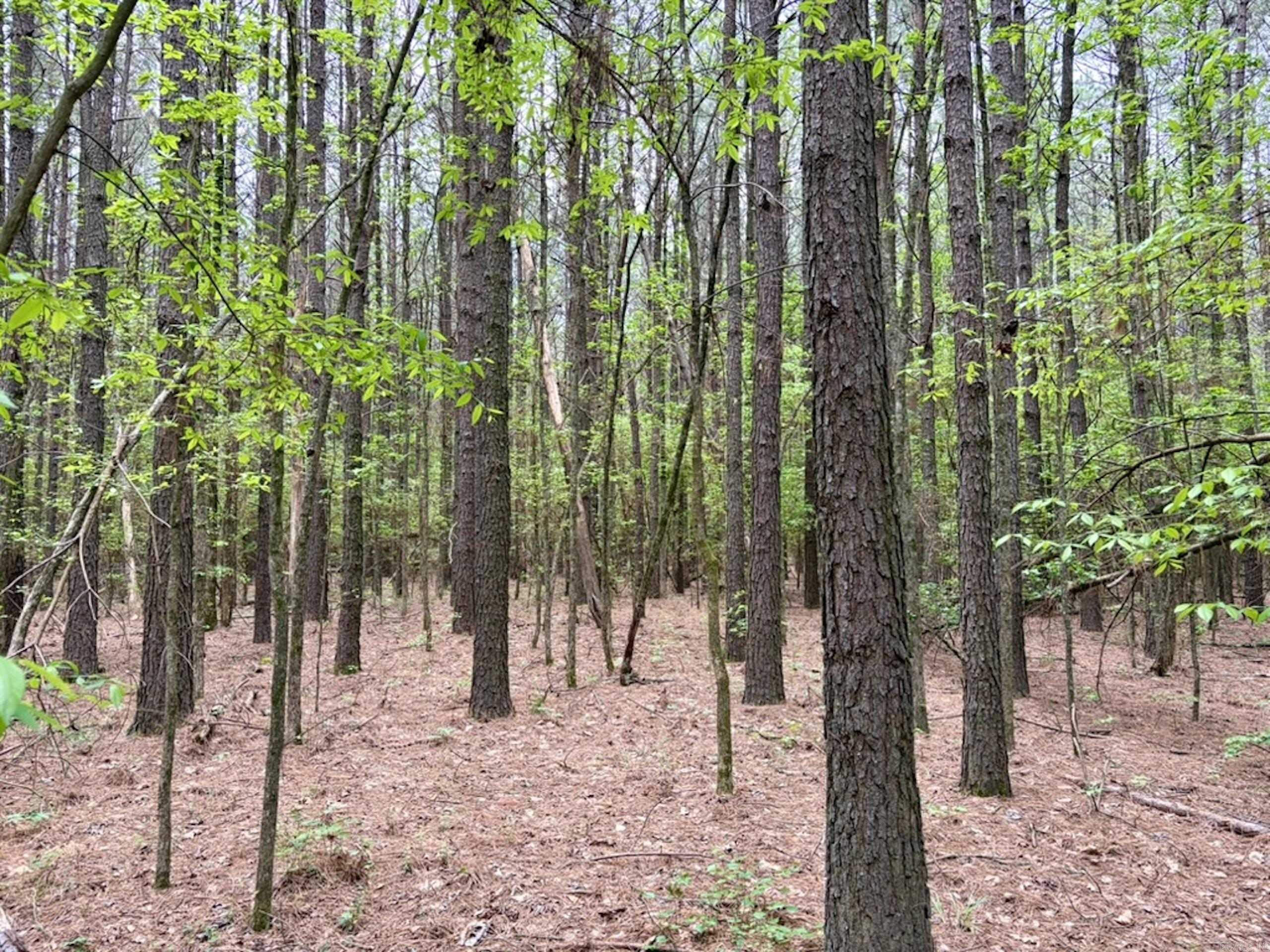 Not in Subdivision - Land