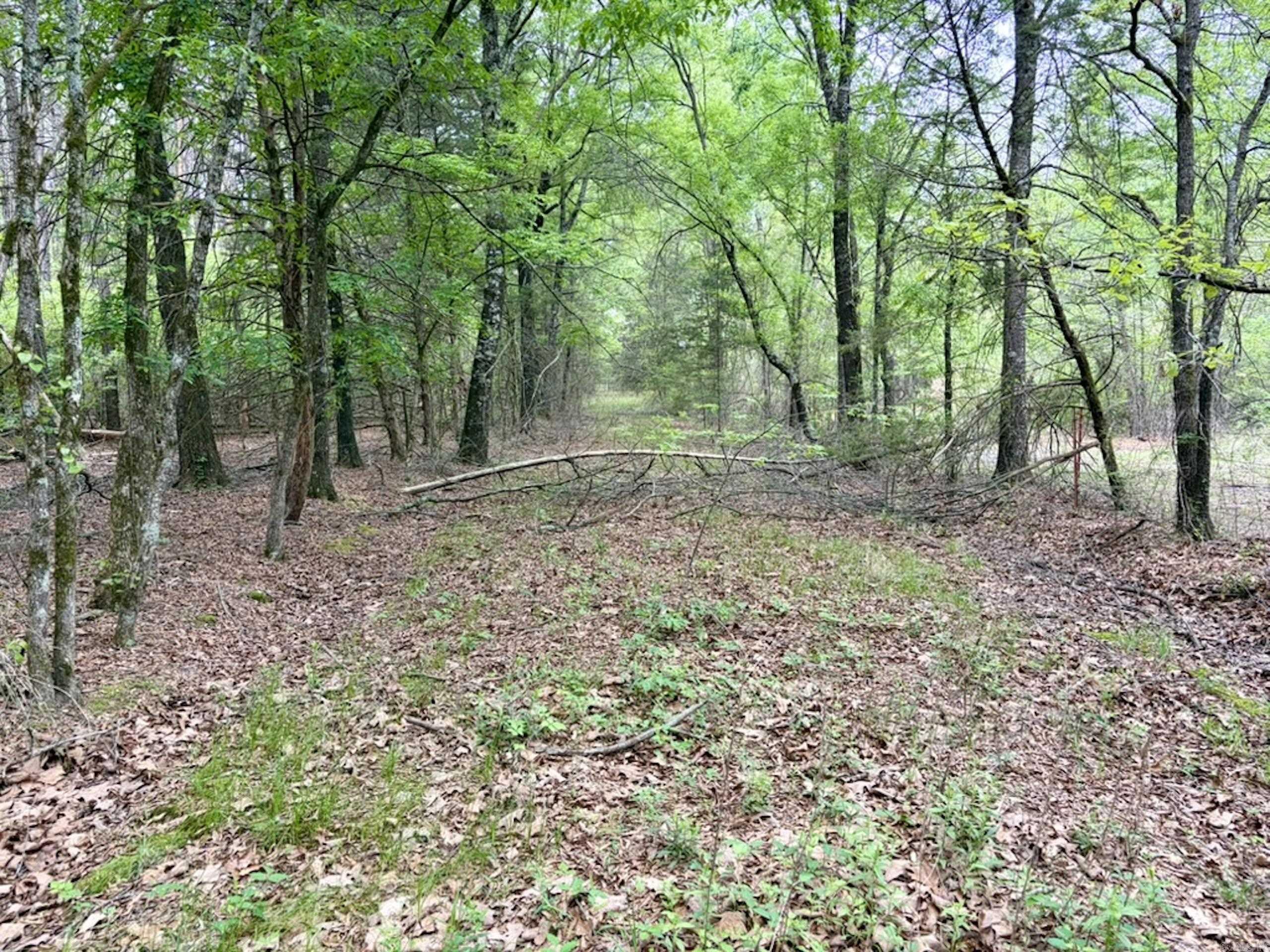 Not in Subdivision - Land