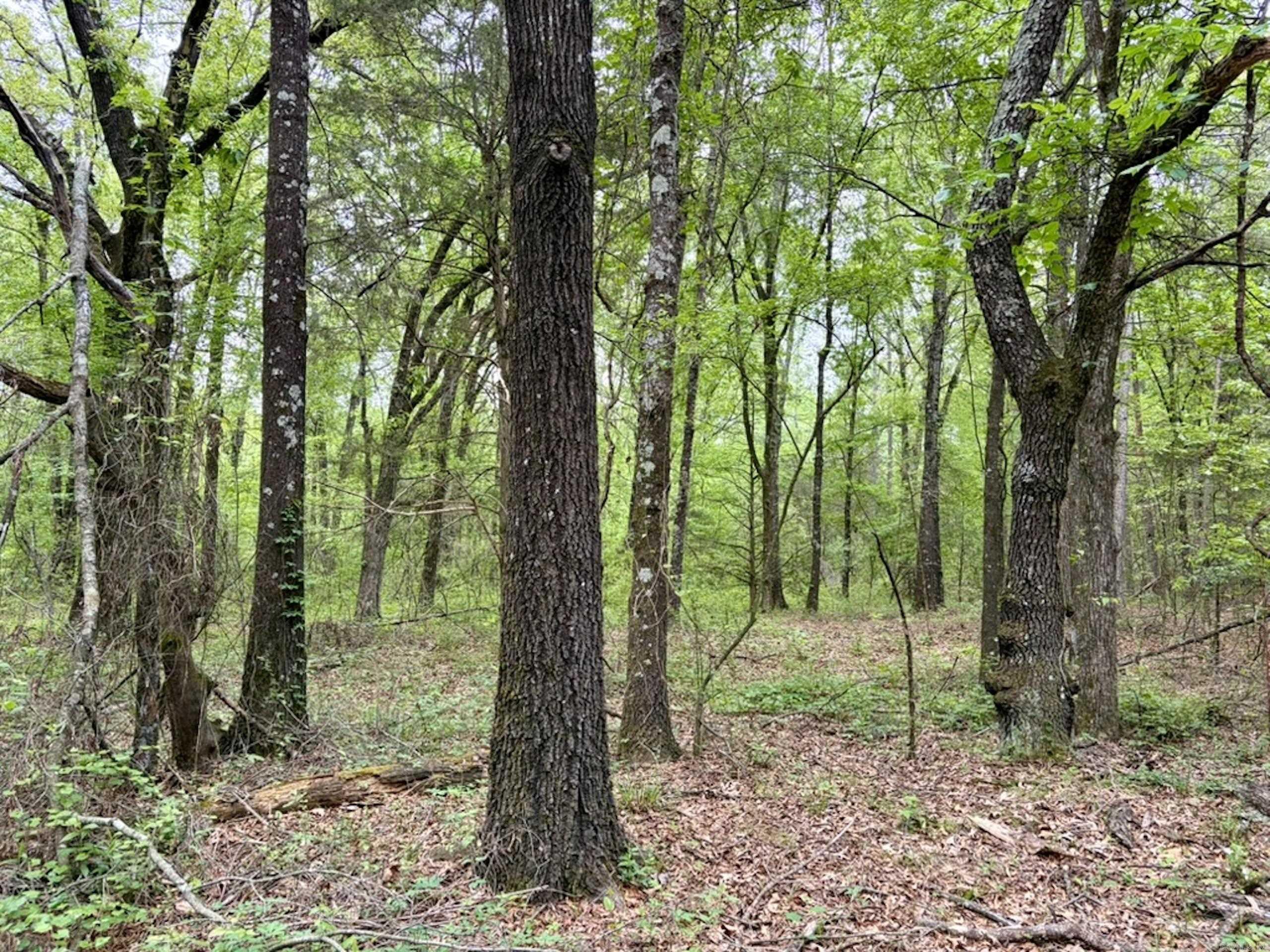 Not in Subdivision - Land