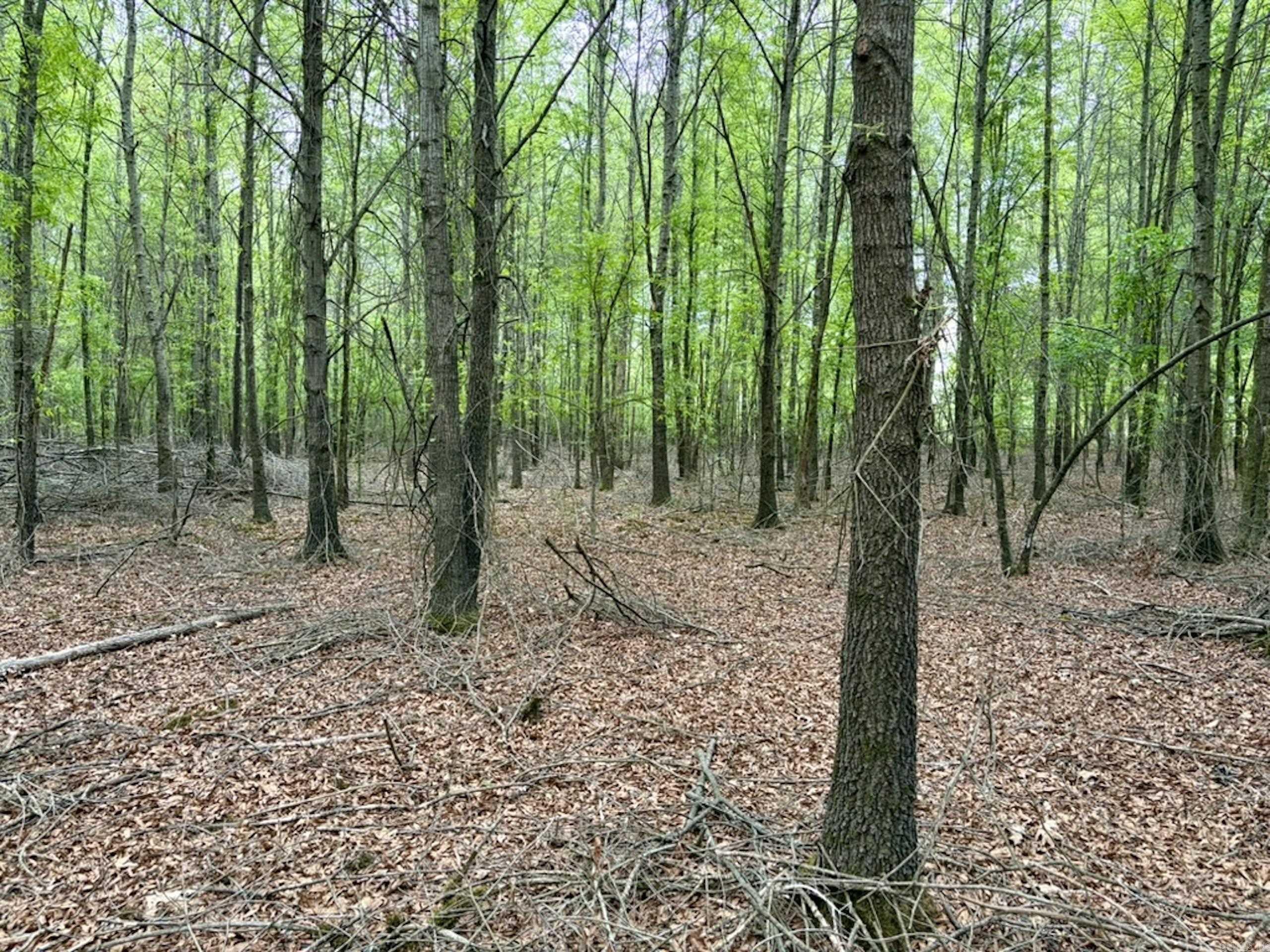 Not in Subdivision - Land