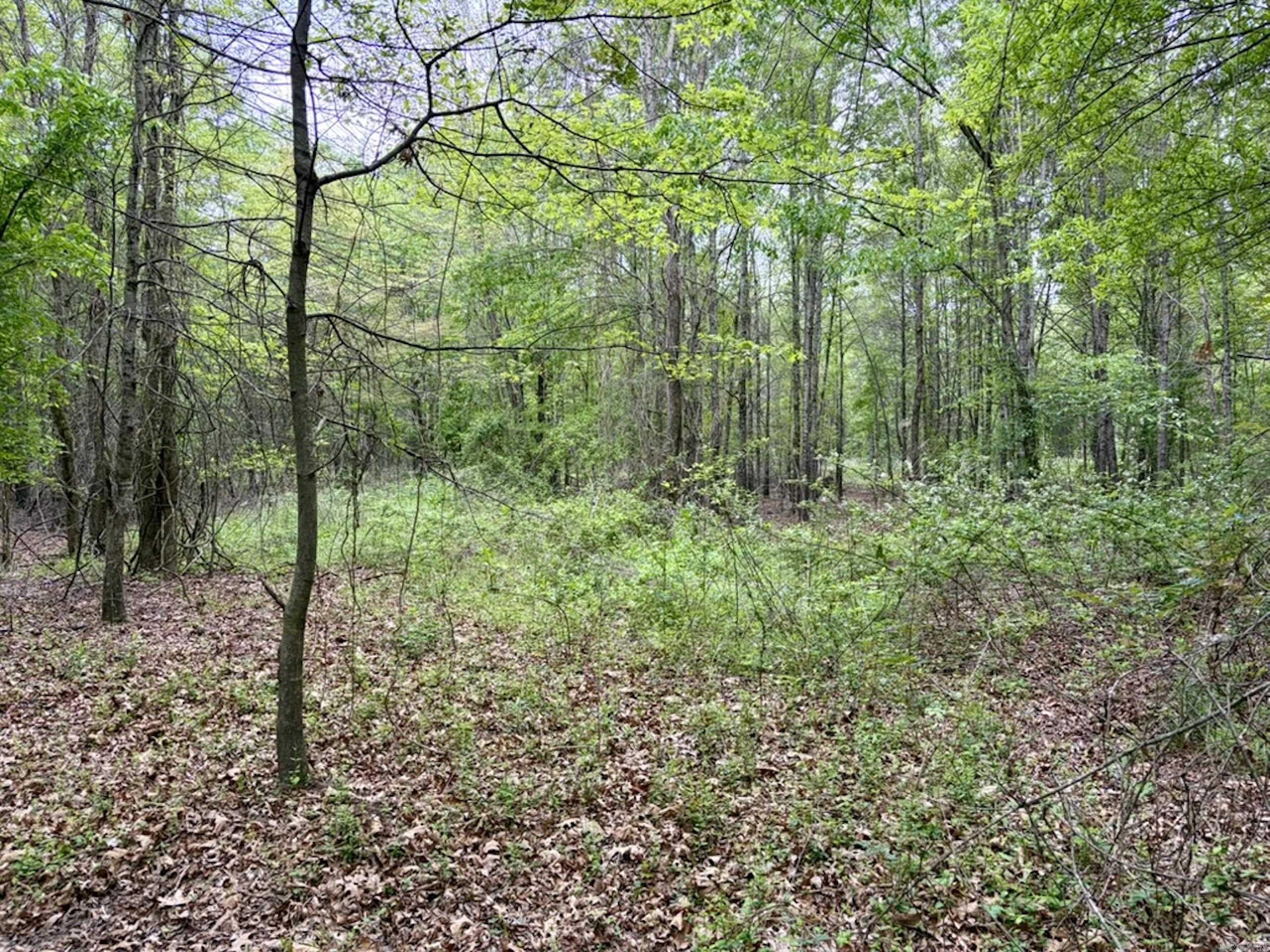 Not in Subdivision - Land