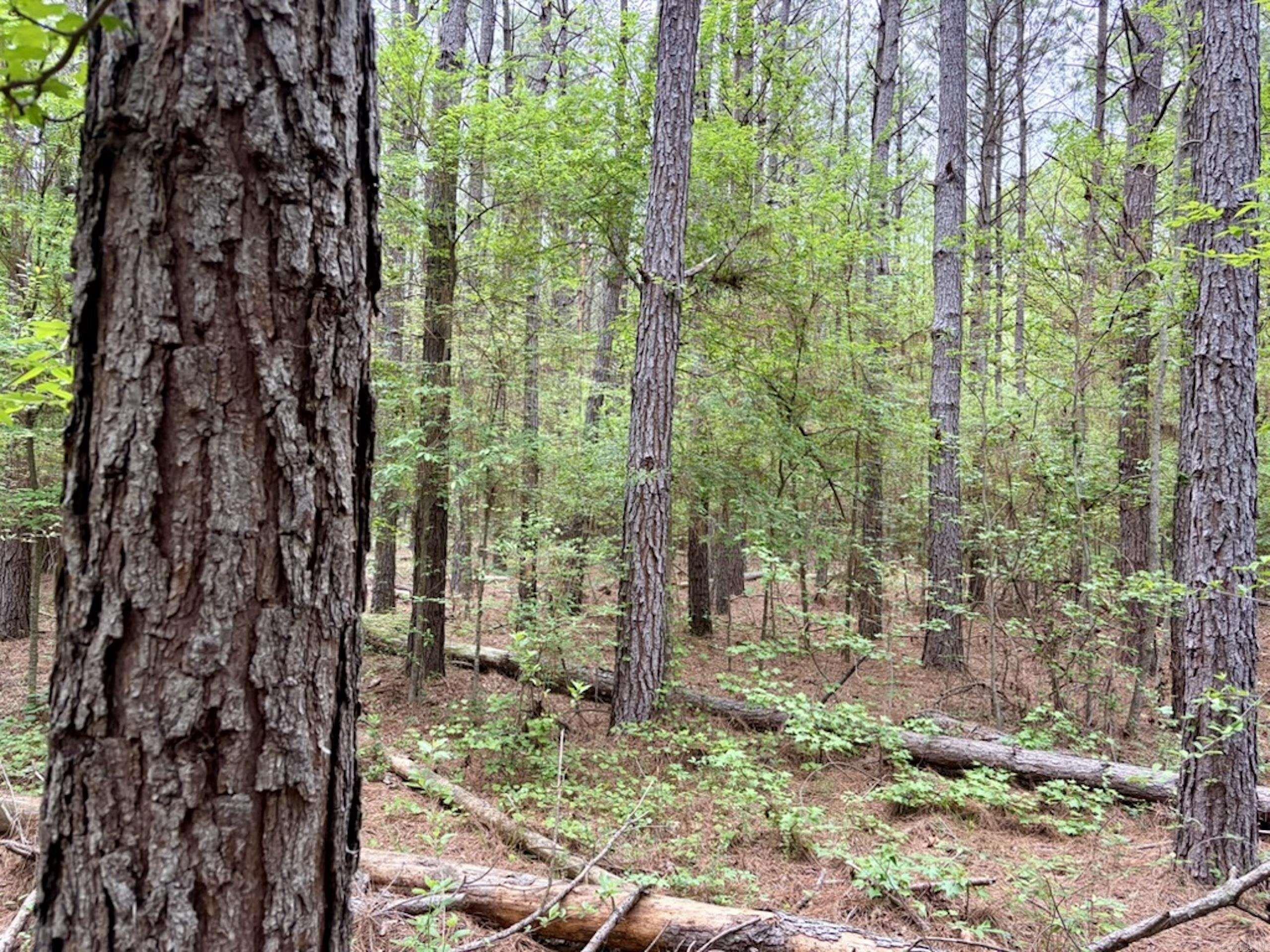 Not in Subdivision - Land