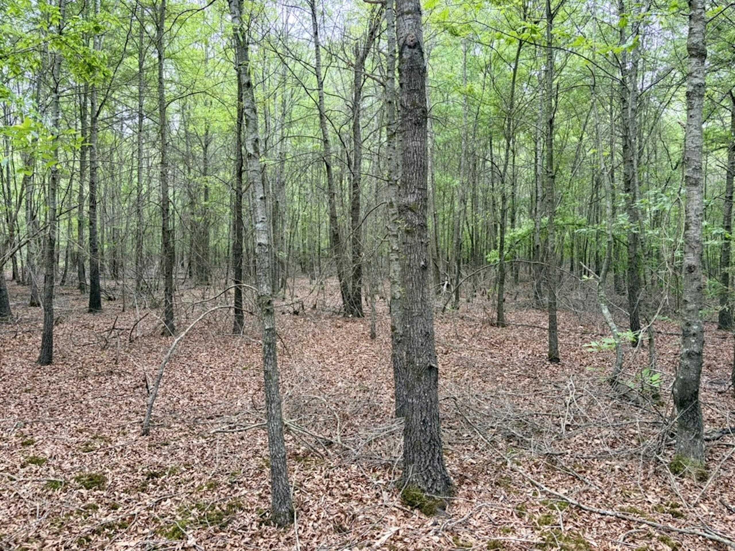 Not in Subdivision - Land