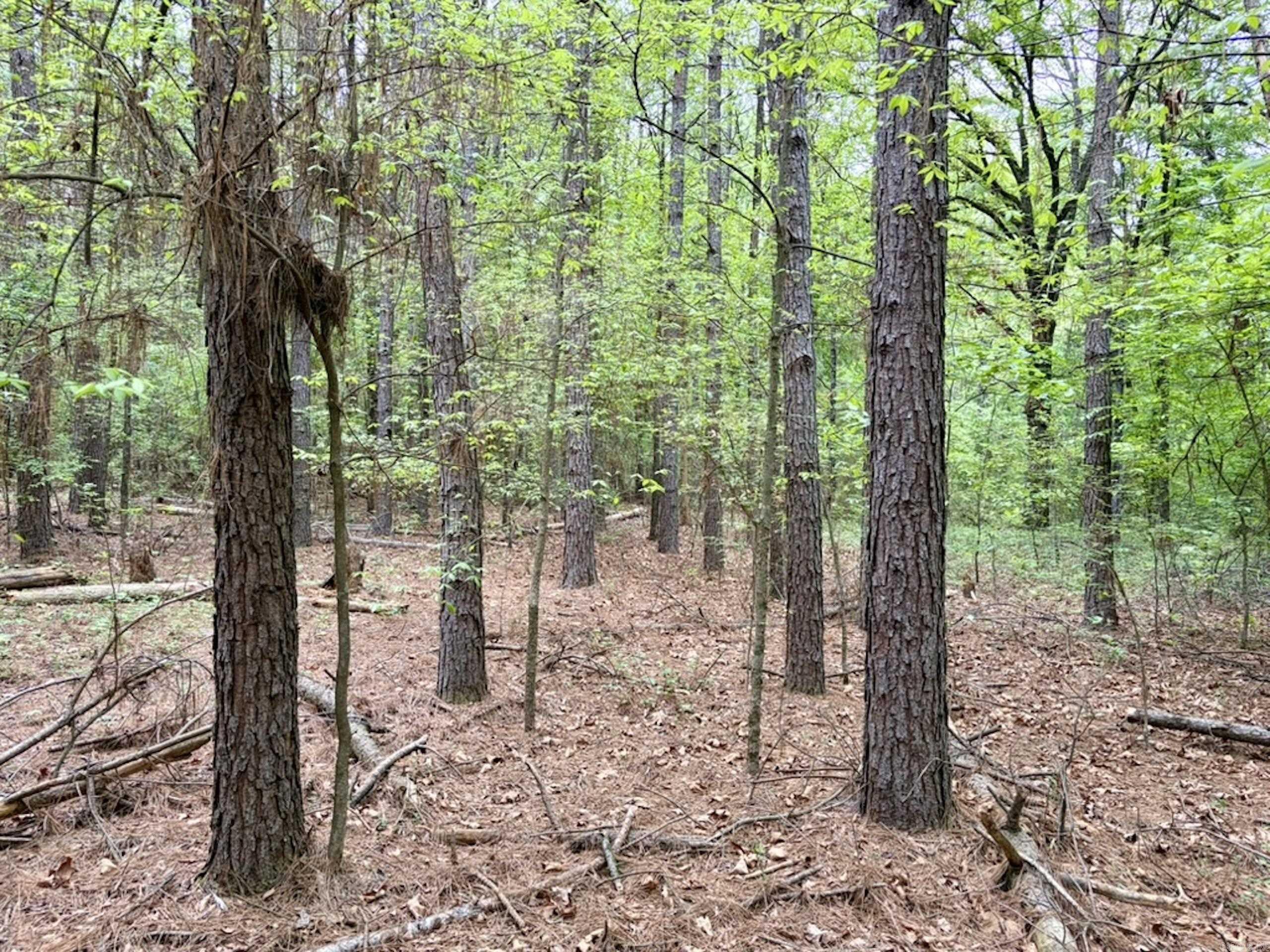 Not in Subdivision - Land