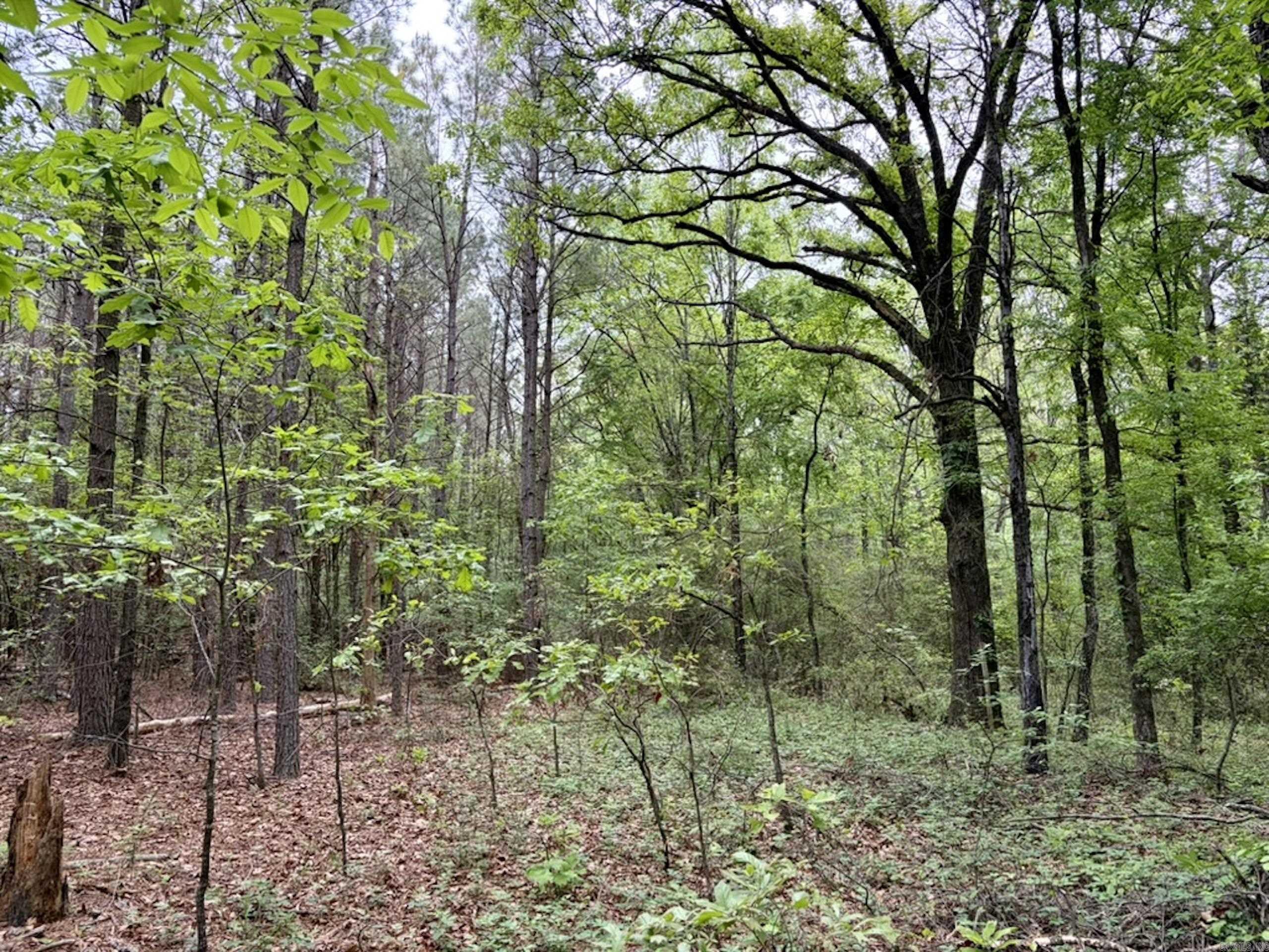 Not in Subdivision - Land