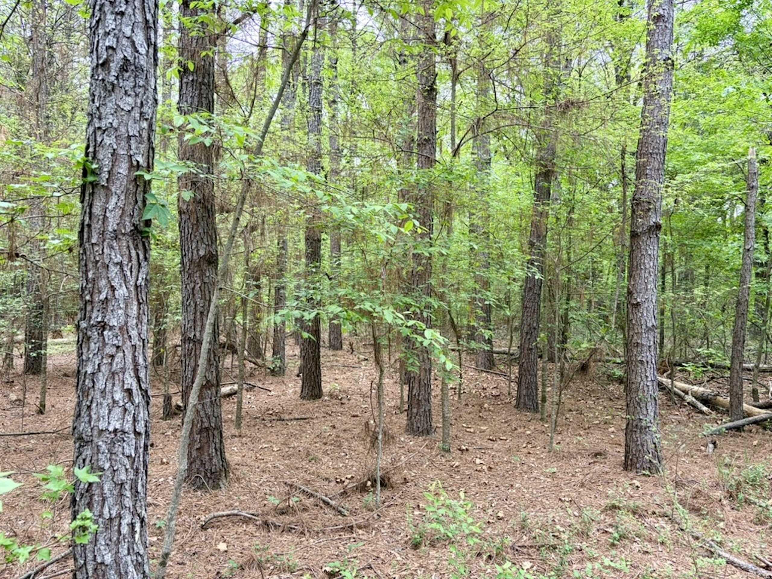 Not in Subdivision - Land