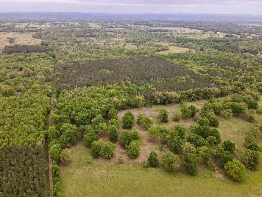 Located near Centerville, Arkansas, this property offers an affordable opportunity to own quality hunting land without sacrificing key features. Accessed by a gated private road, it provides a secluded setting while remaining conveniently located.  This tract consists of a single well-shaped parcel with additional acreage available. The gently rolling terrain and good soil make it suitable for a hunting cabin, country home, or weekend retreat, with multiple potential building sites.  The habitat includes a mix of mature pine, bottomland hardwoods, cleared areas, and natural thickets, creating excellent cover and forage for whitetail deer and turkey. An established internal road and trail system allows easy access and leads to multiple hunting locations.  Utilities are nearby, and the property is just minutes from Petit Jean WMA and Lake Dardanelle, offering access to public hunting, fishing, and recreation.  This tract provides a more affordable entry into Arkansas land ownership with strong hunting, access, and expansion potential.