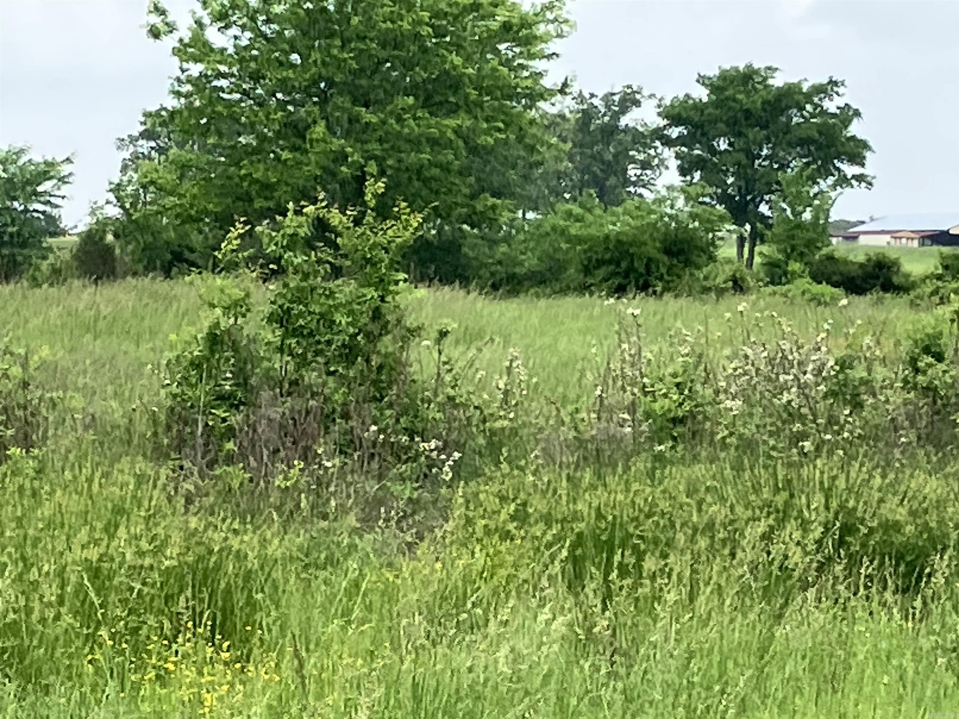 Pencil Bluff - Farm
