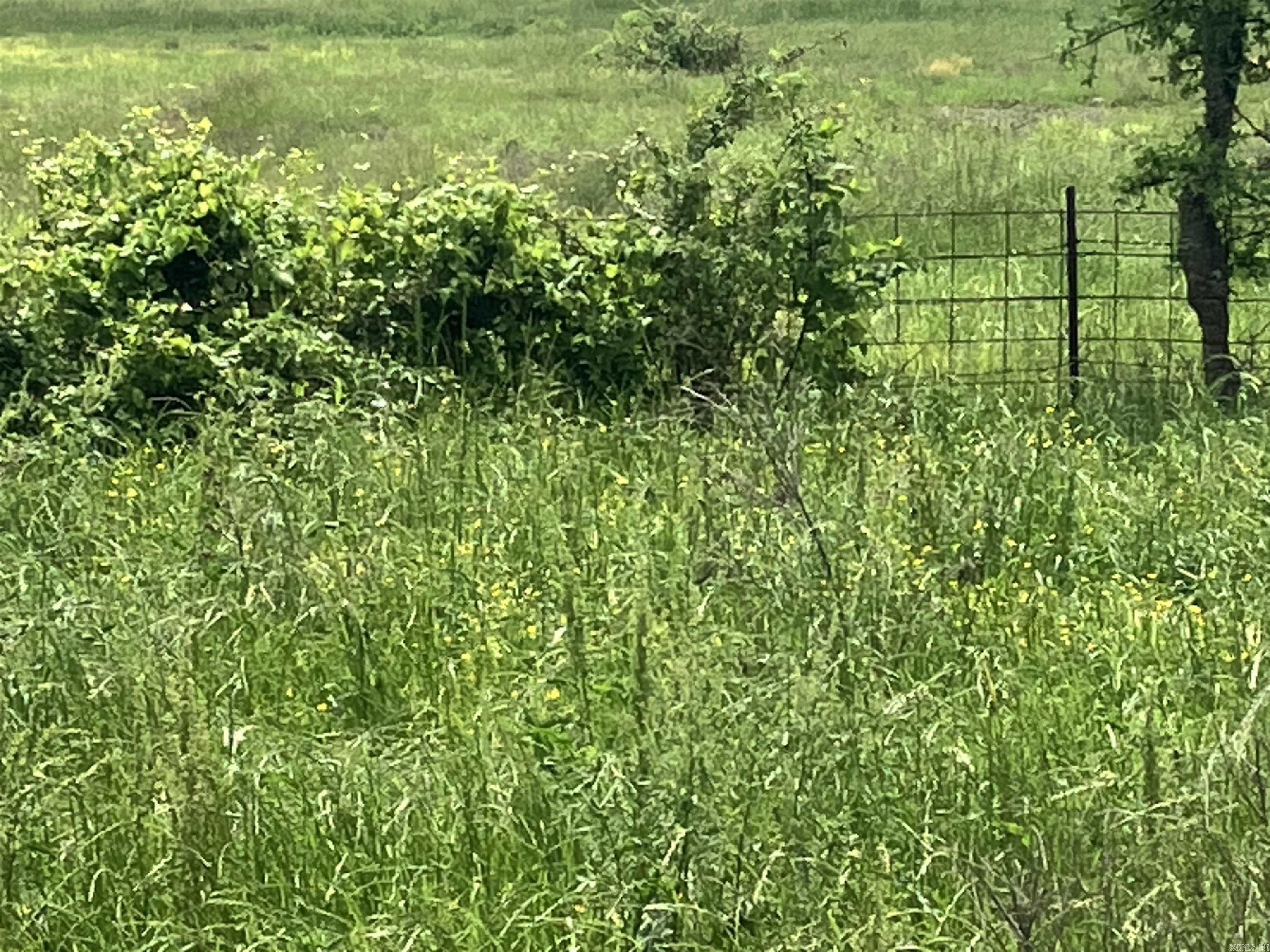 Pencil Bluff - Farm