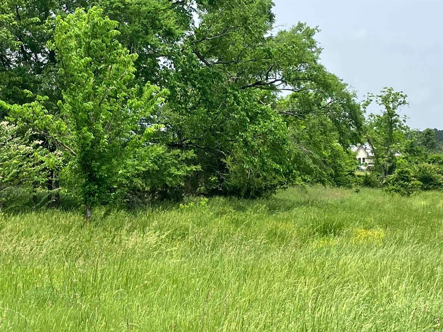 This property is cleared with a few trees for shade. It is fenced and cross fenced with two ponds and a corral. There are good places to build your dream home. Put some livestock on it or your horses for a hobby farm. You are approximately 1 mile from Ouachita National Forest. 20 minutes to Lake Ouachita. 45 miles to Hot Springs.