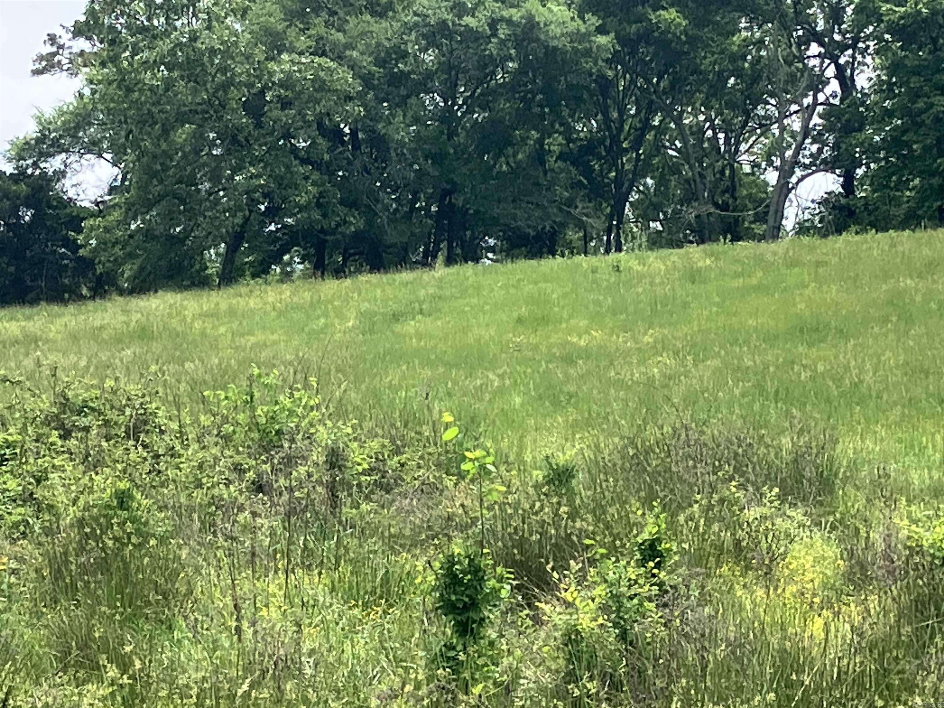 Pencil Bluff - Farm