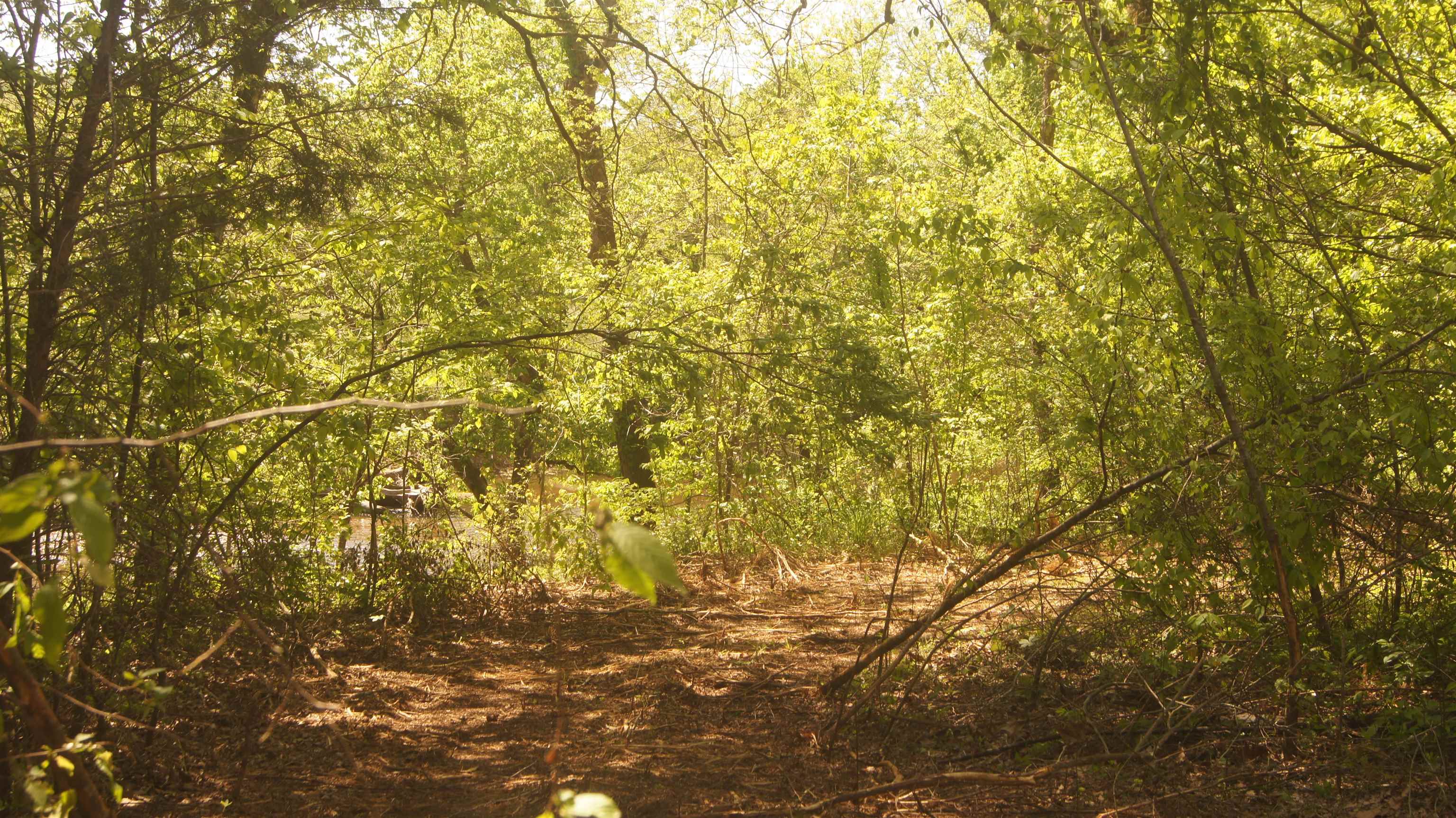 Not in Subdivision - Land