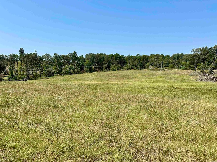 10 +/- acres on a paved road just outside Cave City, AR, in Independence County. Recently cleared and ready for your dream home—or even two homes, per seller restrictions (no subdivision beyond two residences). Seller lives adjoining the property and will retain the right to set restrictions.  Enjoy privacy while being only 5 minutes from downtown Cave City. The land is mostly open with some fencing in place; additional fencing for livestock can be negotiated with the seller. A brand-new survey has been completed. Water and electric are available at the road, making building simple and affordable.  If you’ve dreamed of Ozark living—waking to crisp mornings and watching sunsets over rolling hills—this property offers it all. Plenty of space for a home, garden, or small hobby farm.   Mossy Oak Properties Selling Arkansas – 870-495-2123 Pamela Welch, Listing Agent – 870-897-0700 www.WeSellArkansas.com Equal Housing Opportunity