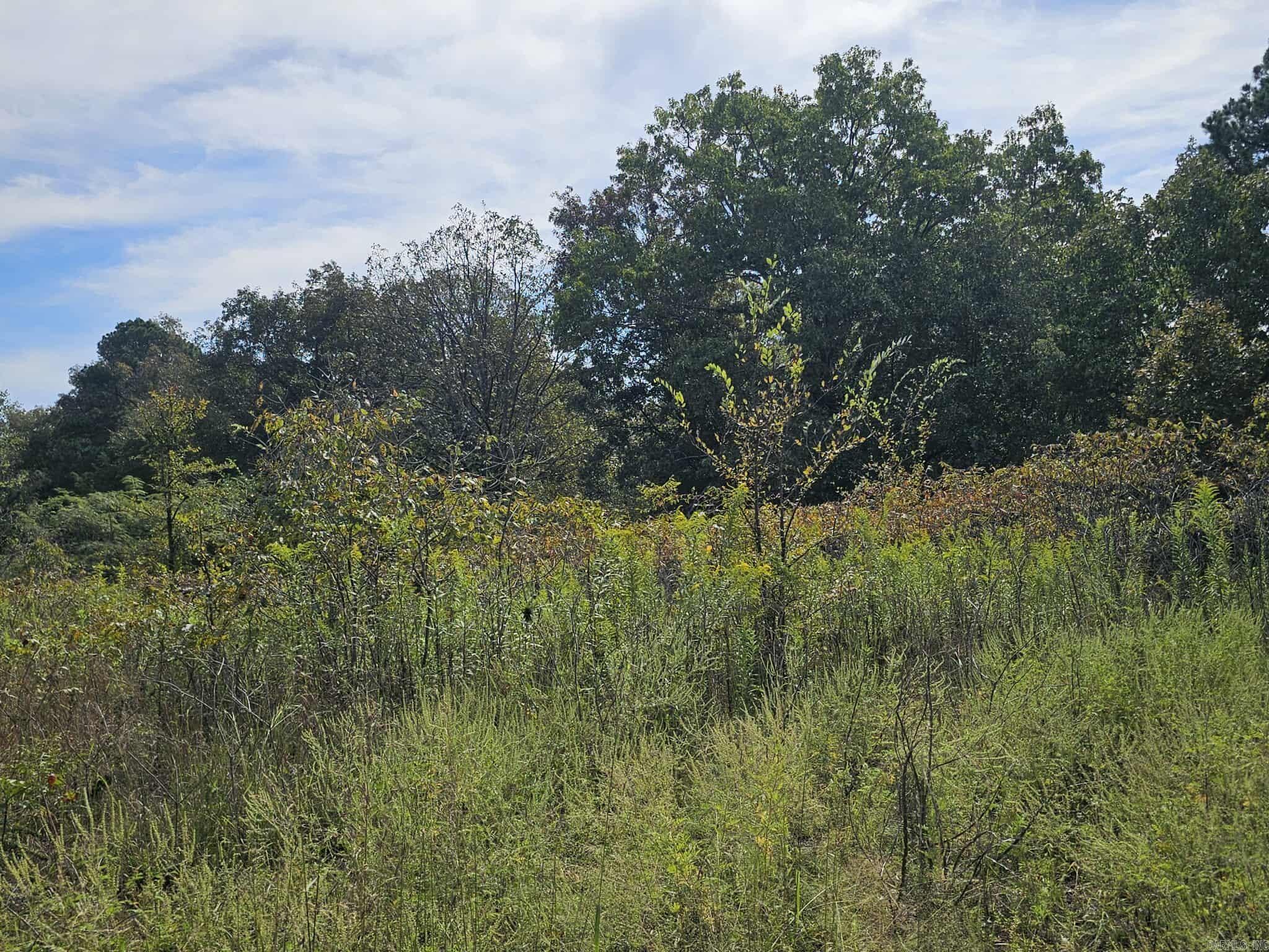 Fox Run - Land
