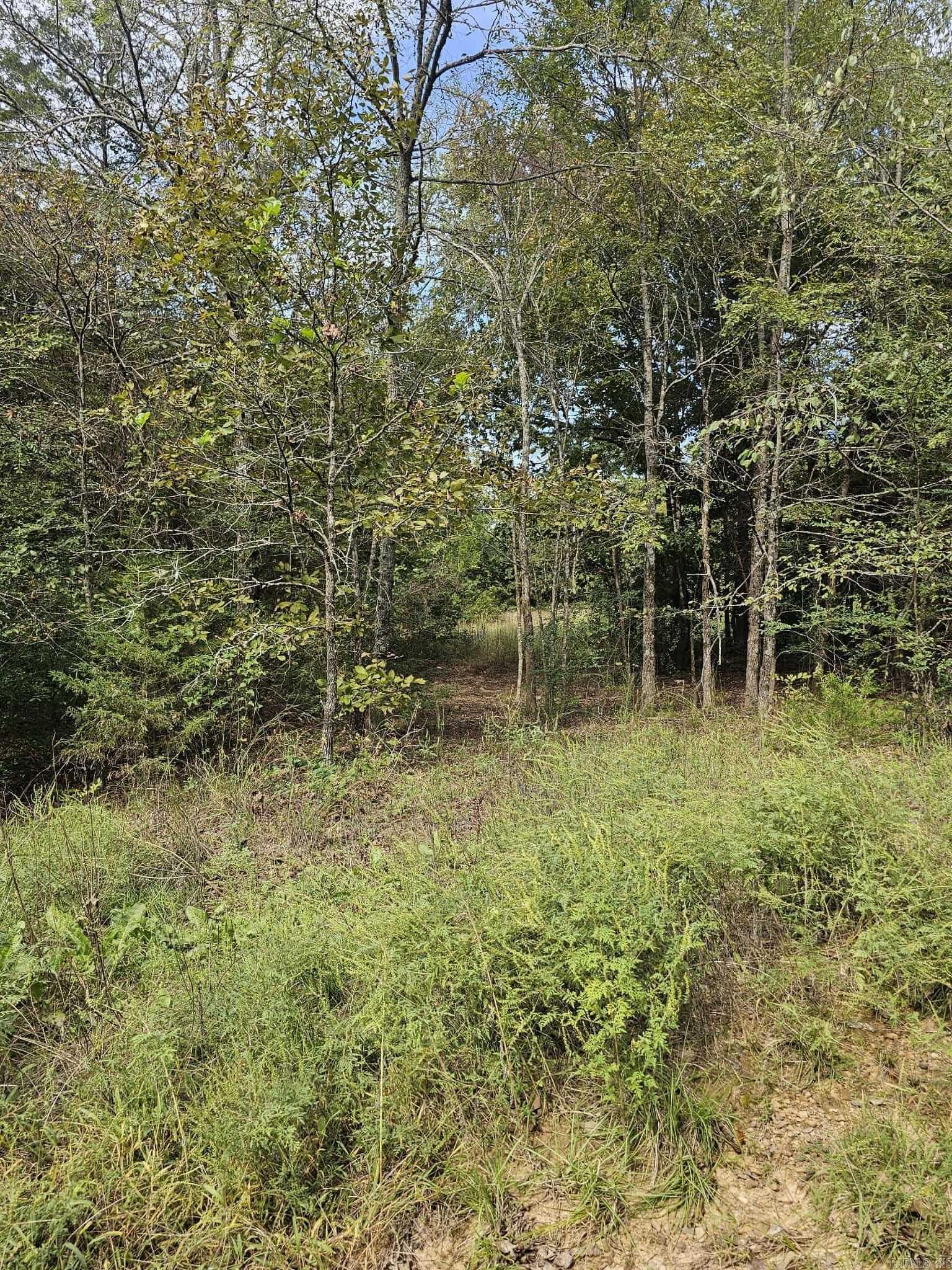 Fox Run - Land
