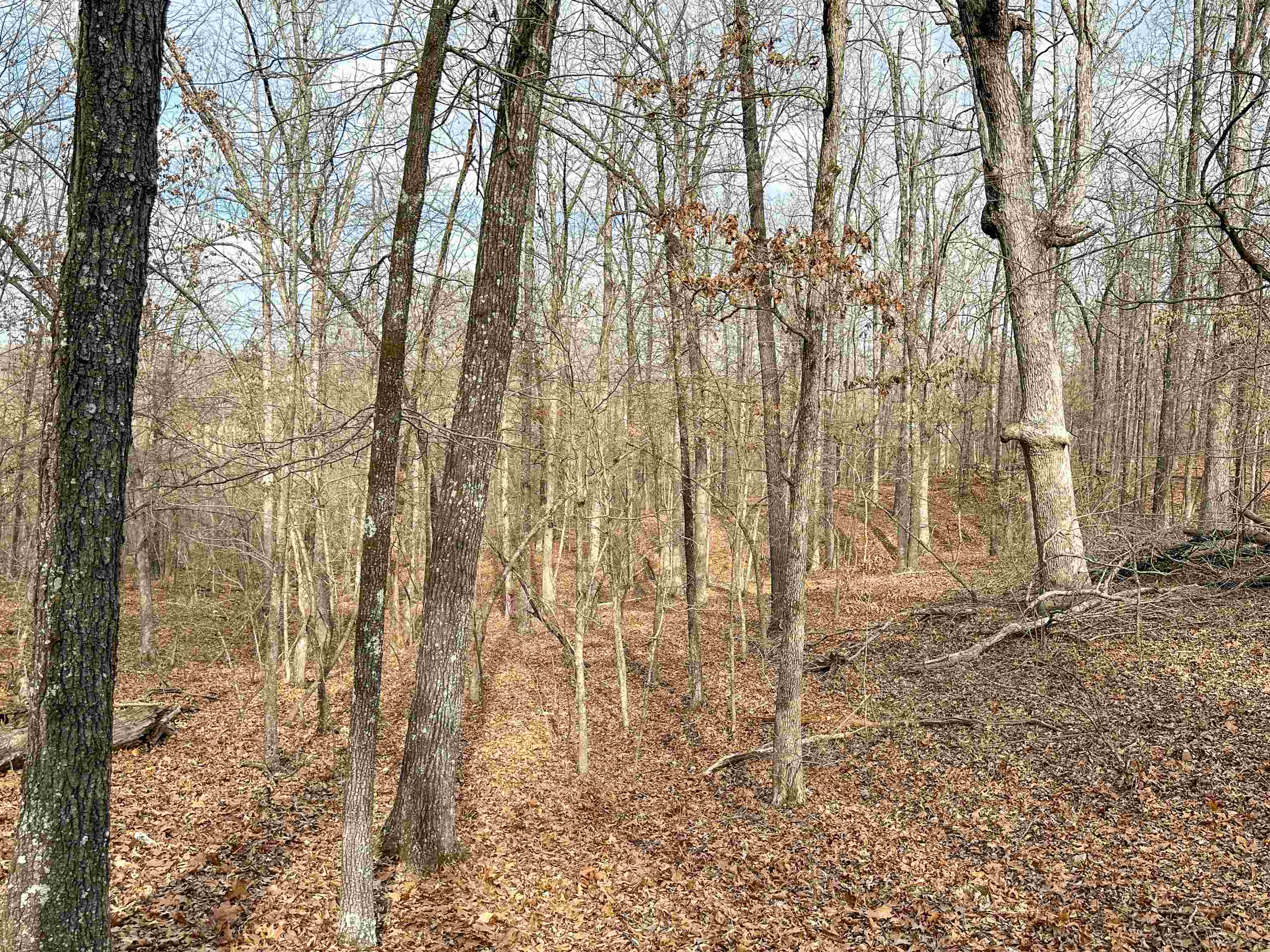 Metes & Bounds - Land