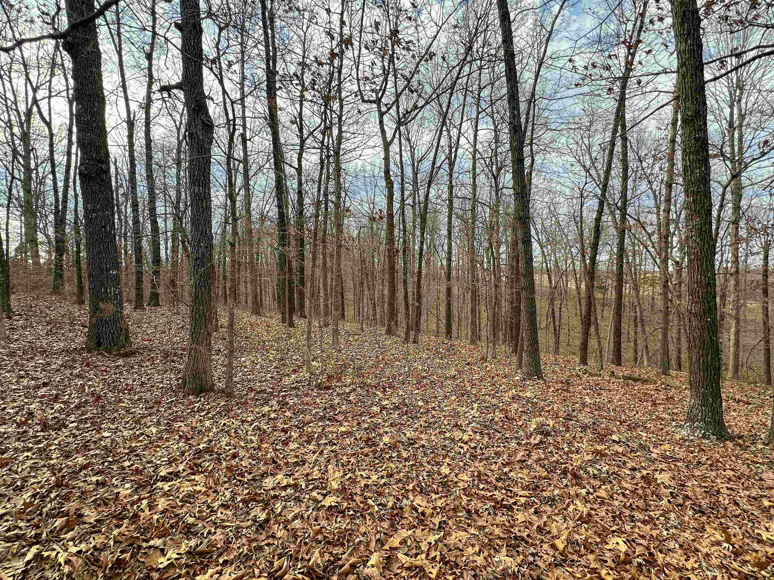 Metes & Bounds - Land