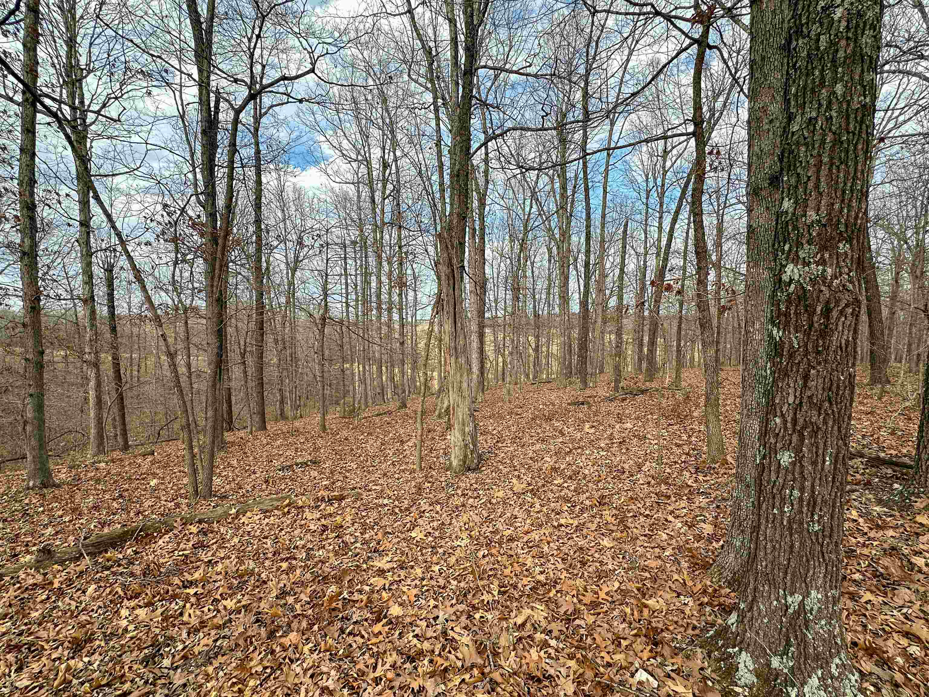 Metes & Bounds - Land