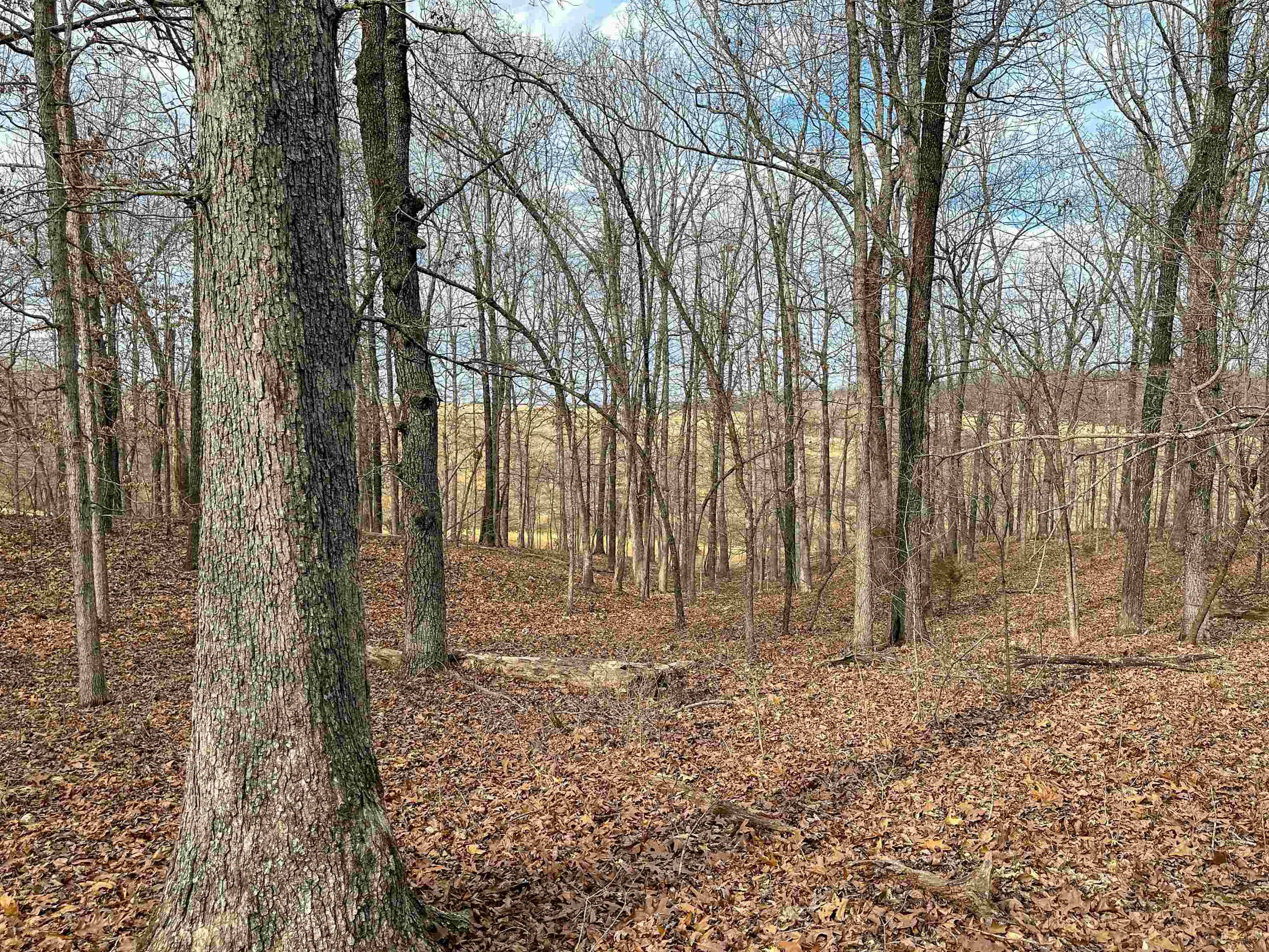 Metes & Bounds - Land