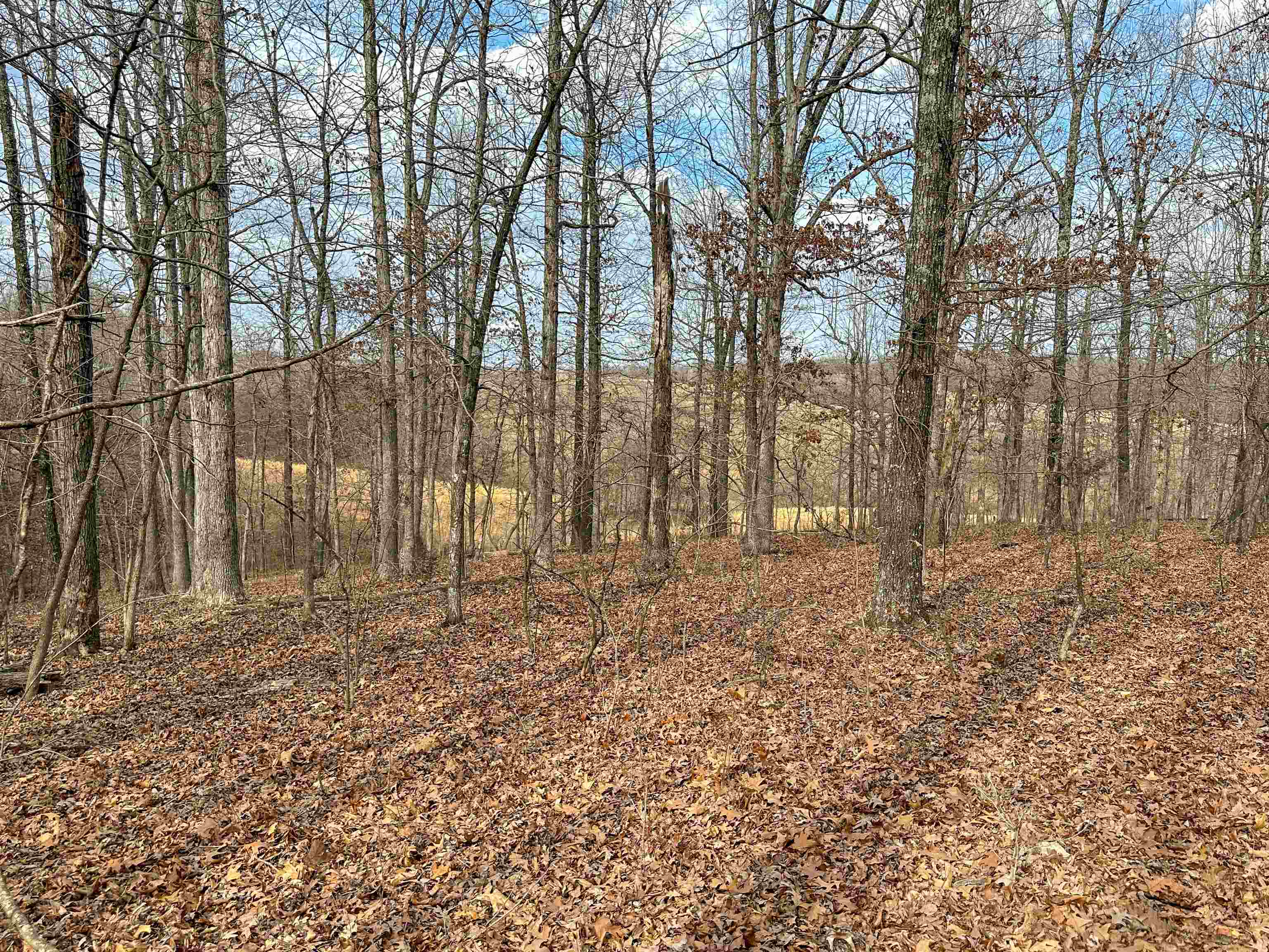 Metes & Bounds - Land