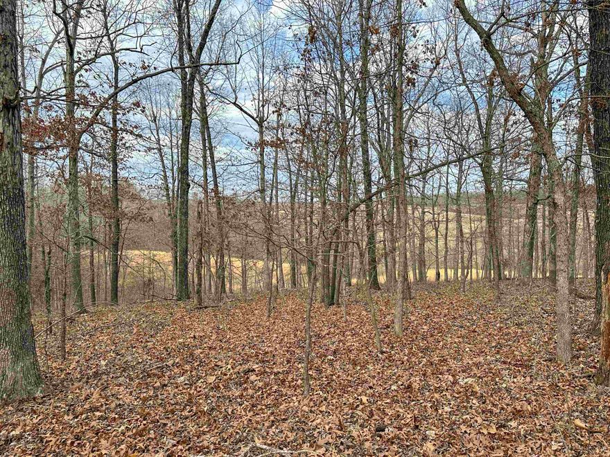 28 wooded acres with views of rolling hills and easy access. Perfectly located just North of Hardy,  AR and out side off city limits. This property has several home-site possibilities with some utilities at the road. Build your dream home and start enjoying wildlife, and the peaceful, relaxing living found here in the Ozark Foot Hills.