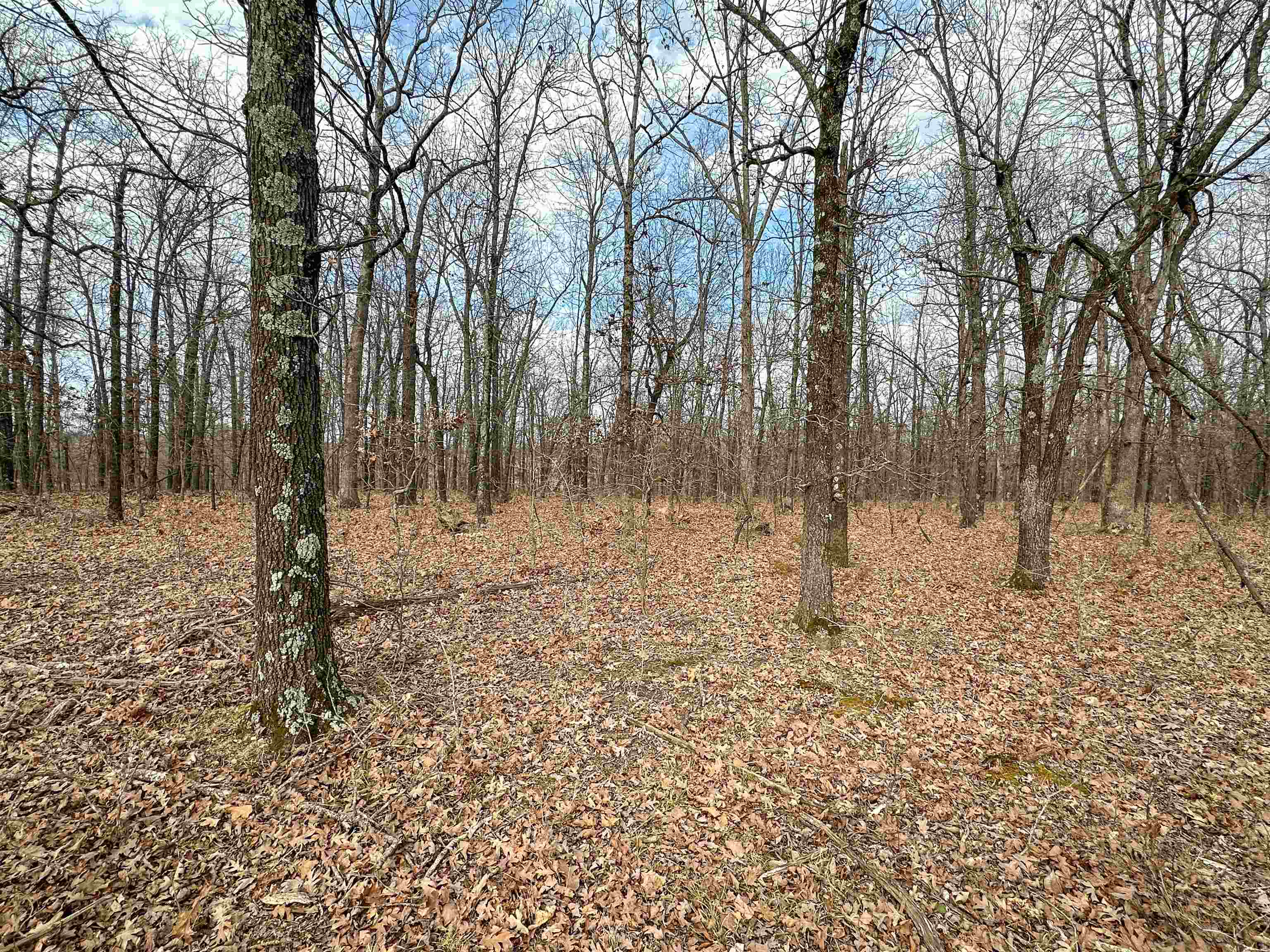 Metes & Bounds - Land