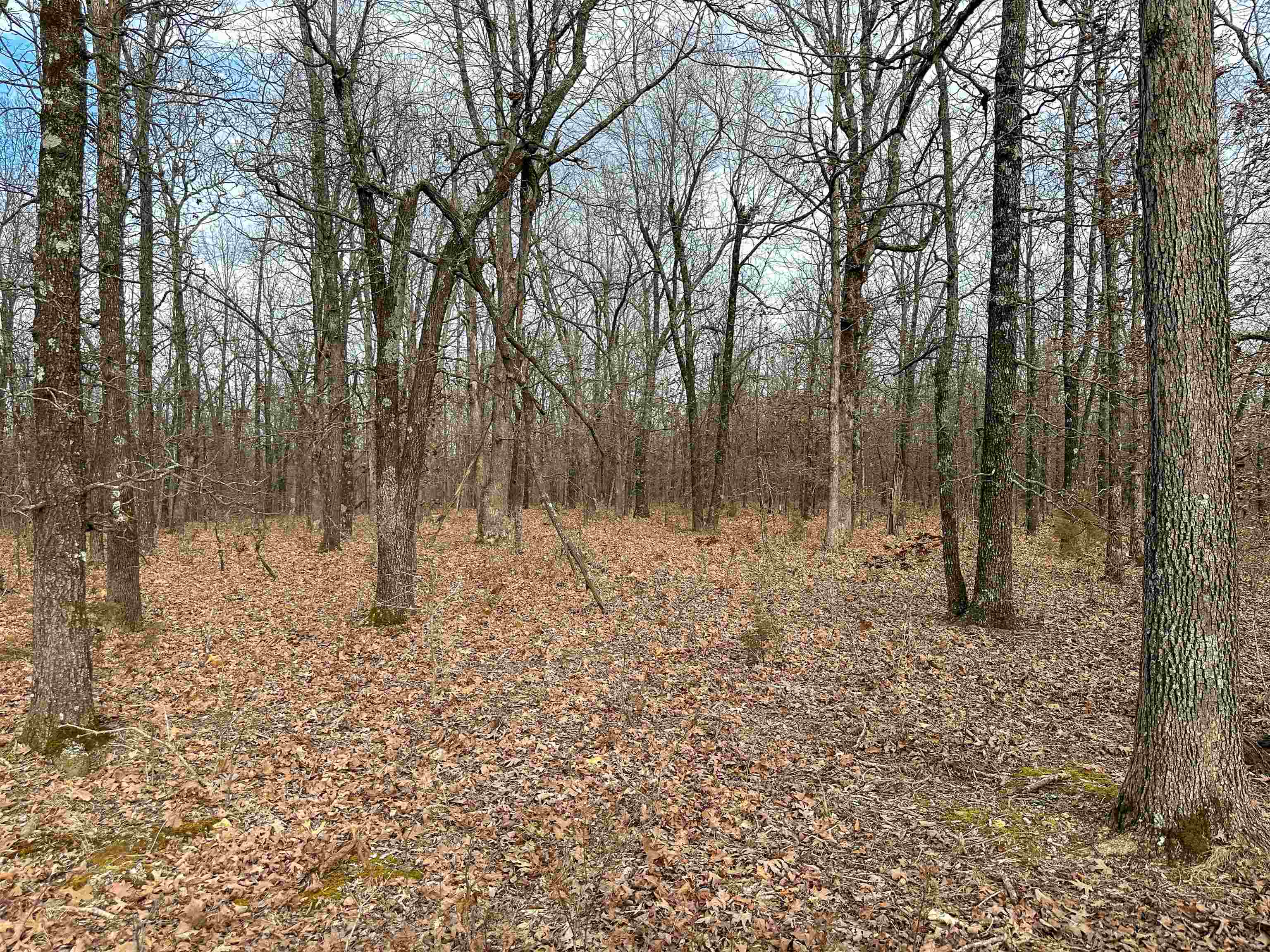 Metes & Bounds - Land