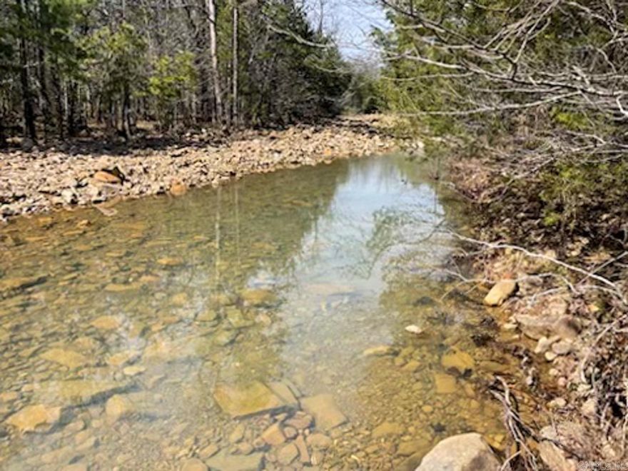 Your ideal property awaits! This remarkable 79 +/- acres features a mix of level land, partially wooded areas, and open space. You'll appreciate the natural beauty, complete with a creek, two ponds, and the Ouachita National Forest bordering three sides. The property includes three wells, two septic systems, and electricity available in multiple locations. There are also stunning building sites along with deer feeders and stands.