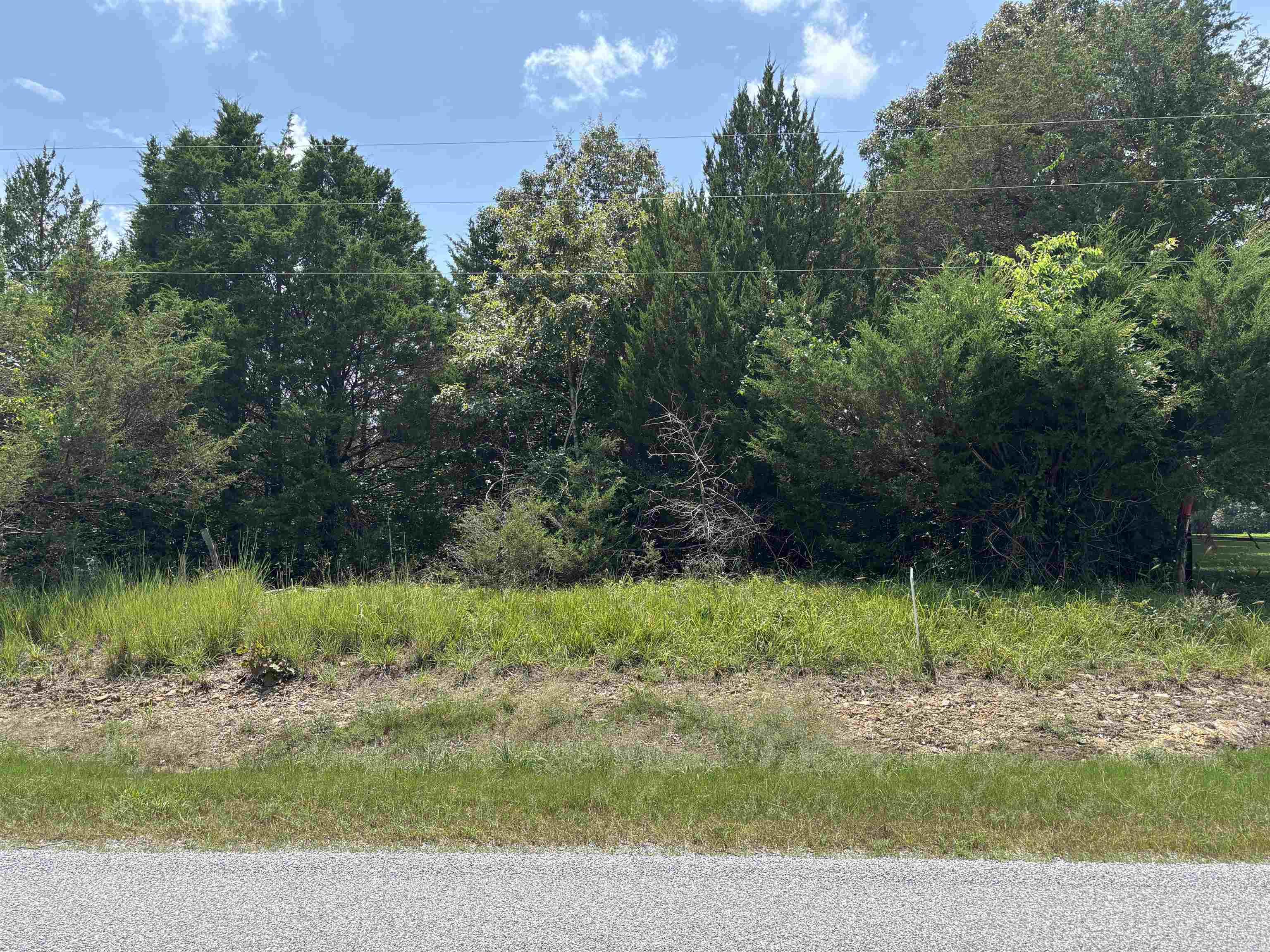 Mostly wooded land on a paved road! Great for hunting a new home site! Utilities available at the road. Some of the property has power line run through it.
