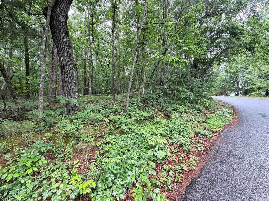 Lake View lots in the Skypoint Estates!!! Minutes from all area amenities.  Build your dream lake home with a lake view! 1.55 acres total! With a corner lot!!!  Boat Launch and Airstrip in Neighborhood.