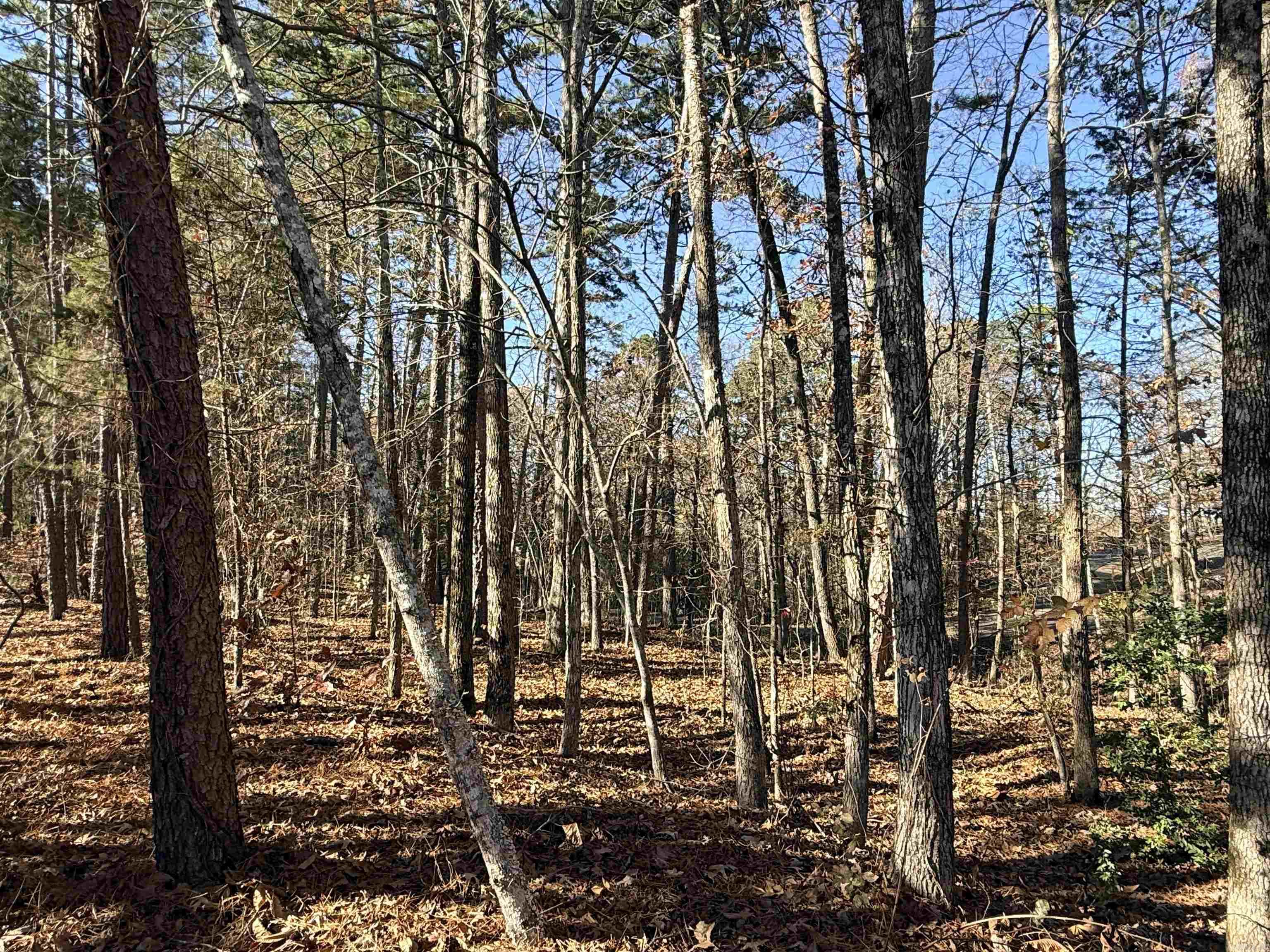 Metes & Bounds - Land