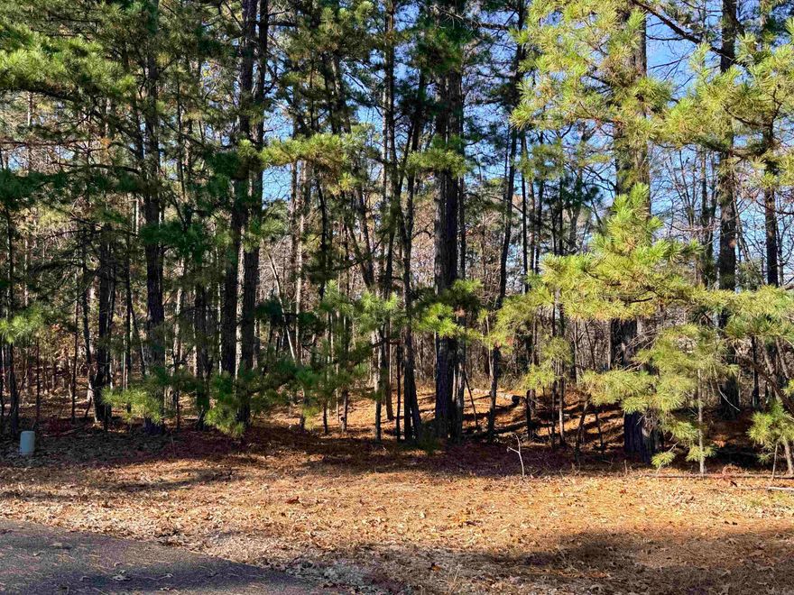 Rare opportunity to build your dream home on 1.55 private acres in the sought-after Lake Balboa area of Hot Springs Village. This oversized parcel offers exceptional flexibility for a custom estate, with ample room for a 3-car or larger garage, workshop or shop, pool, pickleball or sport court, and expansive outdoor living spaces—or simply enjoy unmatched privacy surrounded by nature. Ideally located near the Balboa Gate, this homesite provides quick access to Lake Balboa Marina, multiple championship golf courses, and miles of scenic trails. Enjoy the convenience of being just minutes from Hot Springs shopping, dining, medical facilities, and all the premier amenities Hot Springs Village is known for, including 11 lakes, 9 golf courses, fitness centers, beaches, and security. Whether you’re planning a luxury primary residence, second home, or future investment, this rare acreage parcel offers the space, location, and lifestyle that discerning buyers seek. Build now or hold for the future—opportunities like this are increasingly hard to find.