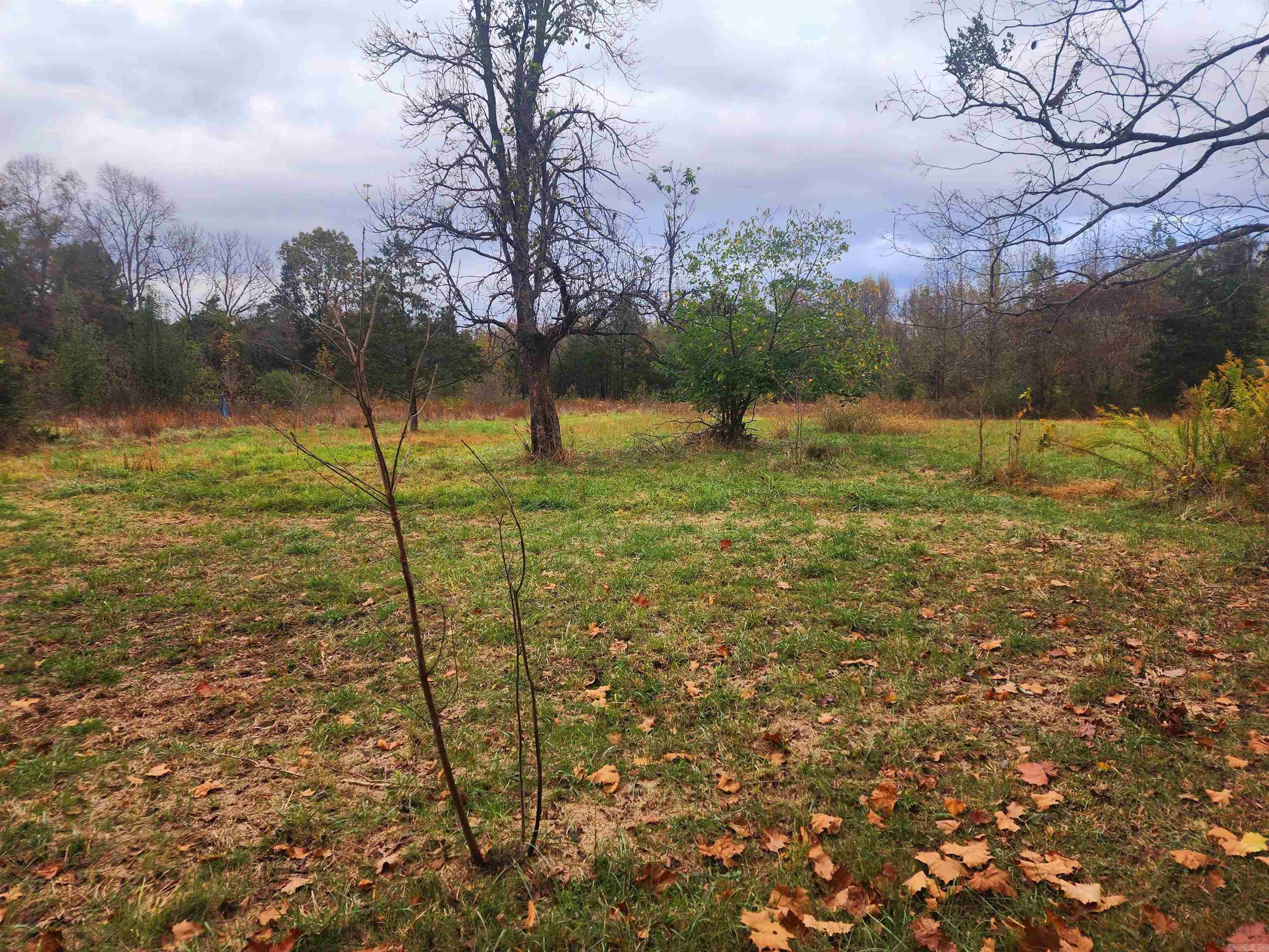 CITY OF RUSSELLVILLE - Residential