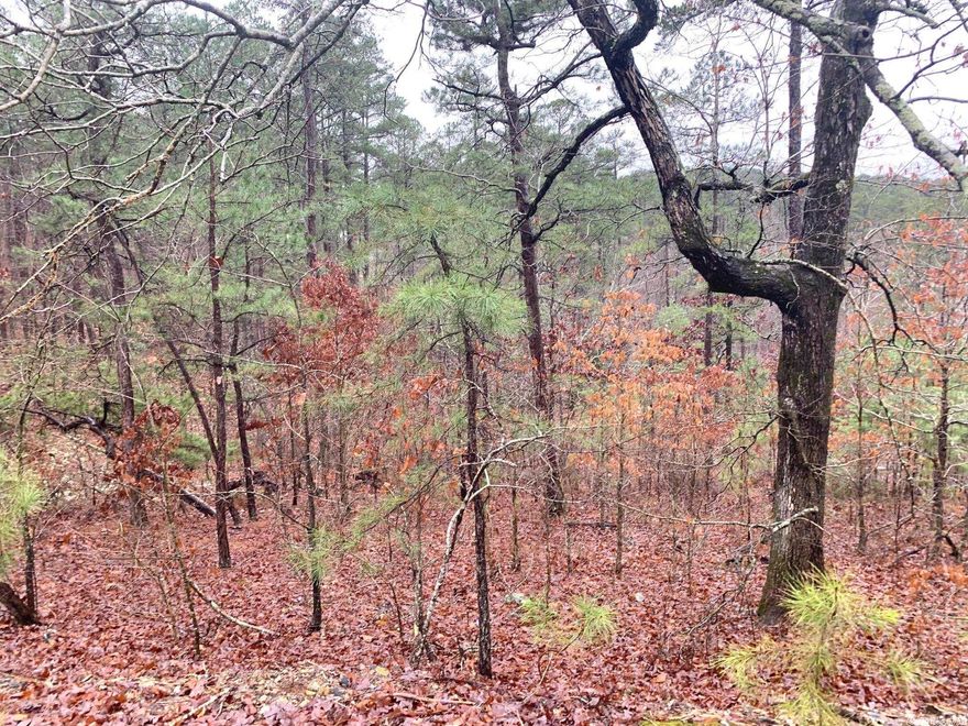 Build your Dream Home on this beautiful lot nestled in Hot Springs Village! Wonderful amenities- golf, shopping, dining, fishing, tennis, and multiple lakes to enjoy!