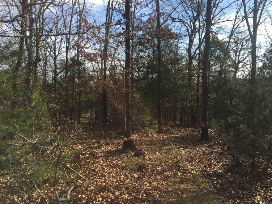 This is vacant land with a pipeline