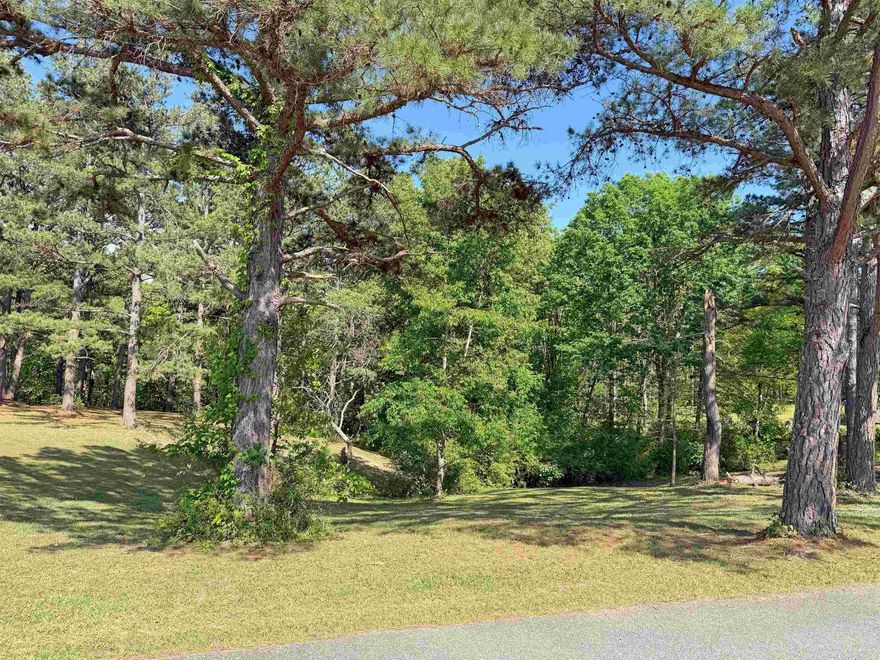 Build your dream home on this beautiful 0.50-acre lot located in one of Mountain View’s newer golf course subdivisions—inside city limits. Situated in a neighborhood of attractive, well-kept homes, this lot offers a peaceful setting with a scenic backdrop and plenty of space to design the home you’ve been dreaming of. Enjoy the convenience of city living while still having a quiet, country feel. Just minutes from downtown, local attractions, and outdoor recreation, this is a great opportunity in a sought-after area.