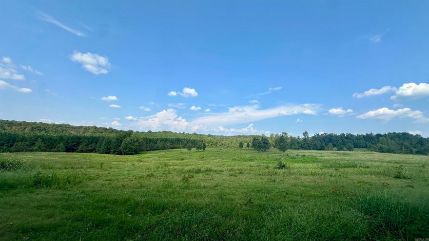 Located in Cleburne County, Arkansas, this 40.29-acre property offers a combination of privacy and convenience. The land features Piney Creek running through the center, creating a divide from the planted pine timber from the open pasture area.  With deeded access off Goff Rd. and utilities available, the property is ready for someone to build, use for recreational purposes, or run a few cows on. Partially fenced, it offers excellent privacy while still being easily accessible. The land is a haven for wildlife, making it ideal for deer and turkey hunting, or simply enjoying the outdoors.  Whether you're looking to build, start a hobby farm, or just have a secluded retreat, this property offers several possibilities. Just a short drive from both Rosebud and Quitman, this is a opportunity to own a piece of groind in an ideal location. Give us a call to take a look!