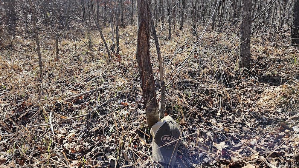 Not in Subdivision - Land