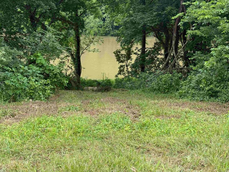 Don't miss the opportunity to own a beautiful riverfront lot on the famous White River in Mountain View, Arkansas! Located directly across the river from Angler’s Restaurant on South River View Lane, this 0.76 acre property offers some of the best river access in the area. Enjoy the convenience of a paved road and access to rural public water. The lot is level with a gentle slope down to the river—ideal for building your dream getaway or permanent home. This build-ready lot is priced at just $110,000.