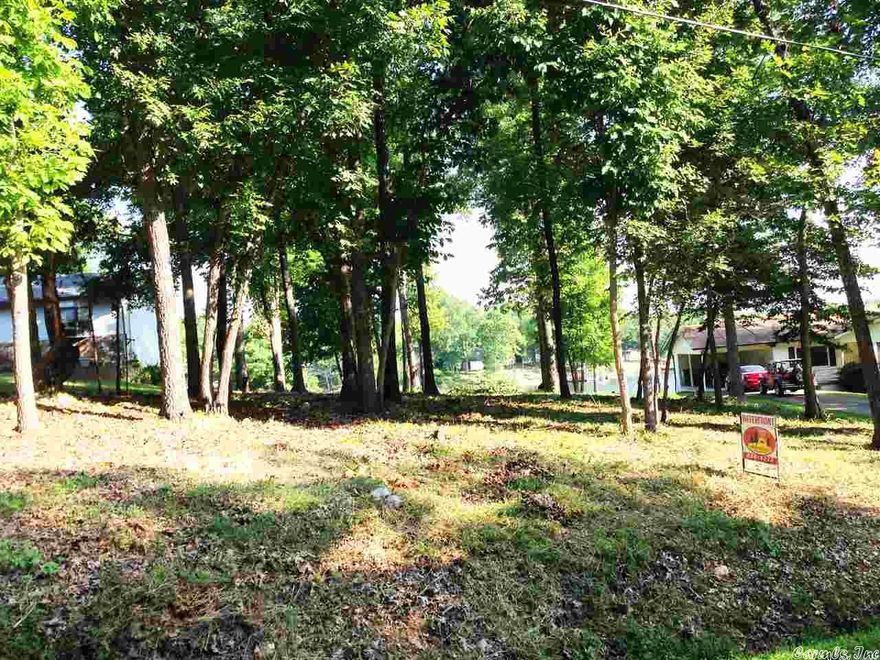 Just $20,000 buys this BEATIFUL LAKE THUNDERBIRD LOT!! Super deal- this lot is has just a very gentle slope and would be perfect for your dream home or buy for investment! City water available. Listing #1980