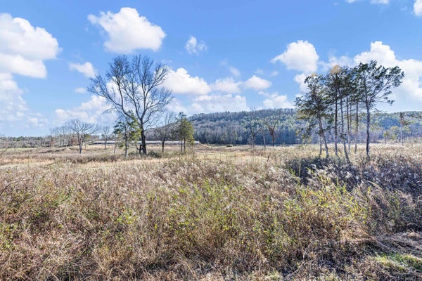 115 BOOGER HOLLOW RD, DOVER, AR 72837 - Image 2fcc4c8c2e9de79c3ef55726f311f452/3777036626
