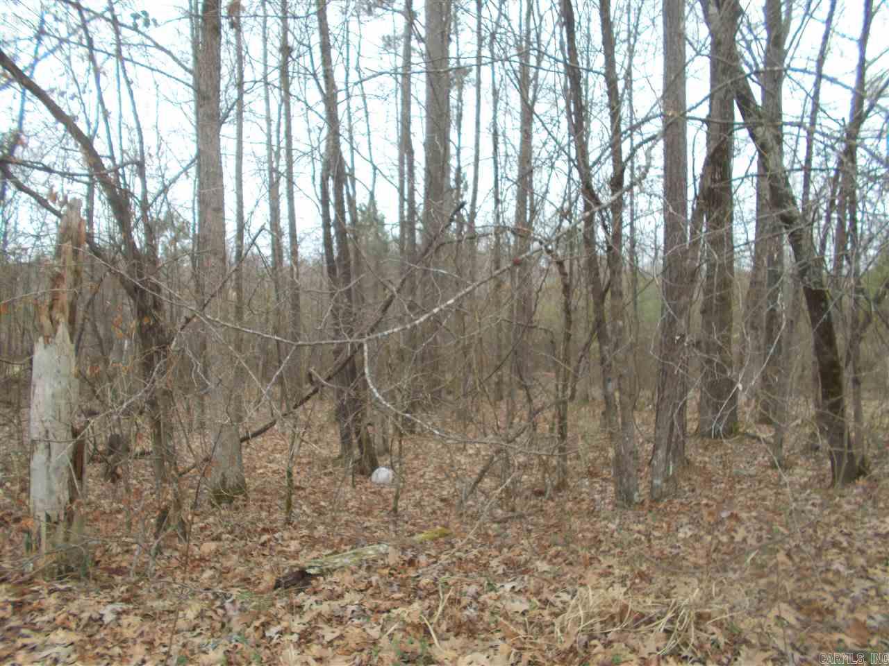 Silver Springs - Land