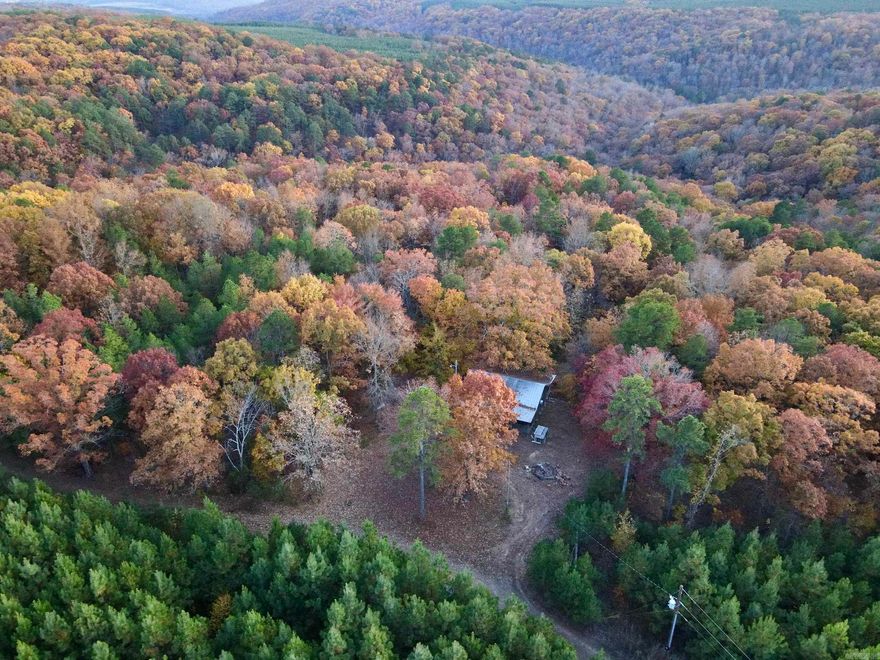 Discover a rare opportunity to own 40 acres of prime Arkansas hunting and recreational land with a fully equipped cabin and direct access to the Cherokee Wildlife Management Area. This exceptional property combines comfort, privacy, and unmatched outdoor adventure, making it ideal for buyers seeking a secluded cabin retreat, hunting cabin, or off-grid getaway in the Ozark foothills. Located on a quiet county road, the property offers easy access and is already improved with electricity, a private well, and a septic system - a valuable advantage over raw land parcels. The rustic cabin features one large bedroom with bunk beds, a full bathroom with a shower, a functional kitchen, and a spacious living area perfect for gathering after a long day of exploring. Wide front and back porches overlook the surrounding timber and provide the perfect setting to relax and enjoy Arkansas’s natural beauty year-round. The land itself is a standout feature. A well-developed trail network winds through the property, leading to mature hardwoods, dramatic rock outcroppings, and multiple established deer stand locations.